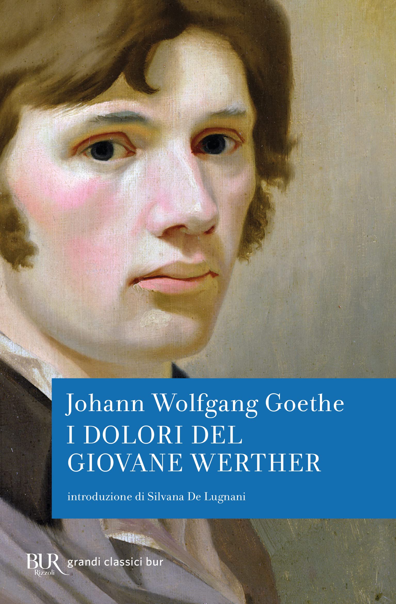 I dolori del giovane Werther book
