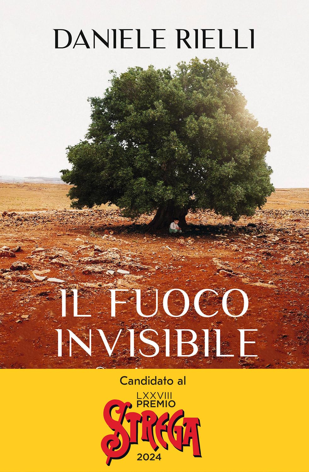 Il fuoco invisibile. Storia umana di un disastro naturale book