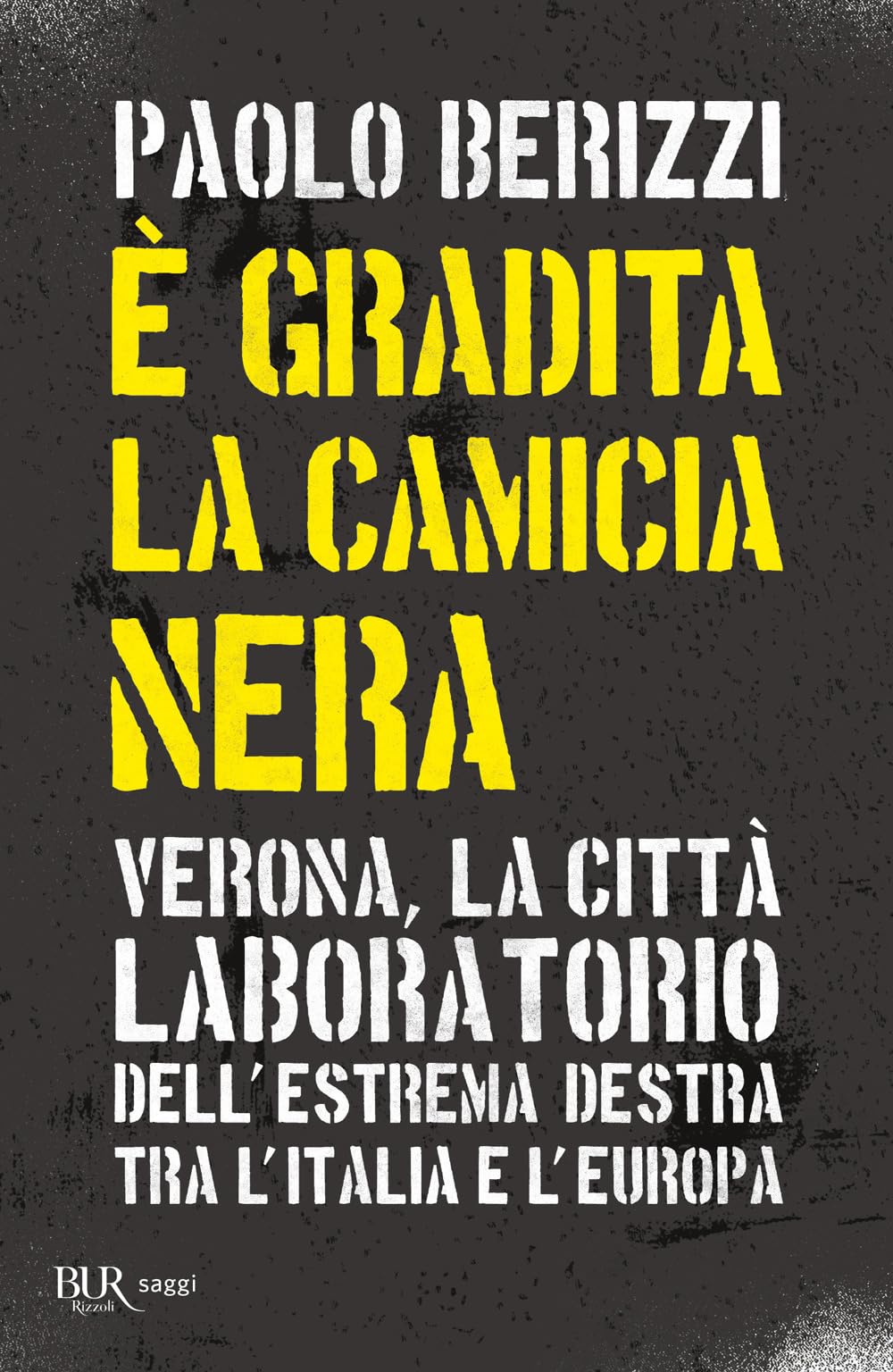 È gradita la camicia nera. Verona, la città laboratorio dell'estrema destra tra l'Italia e l'Europa book