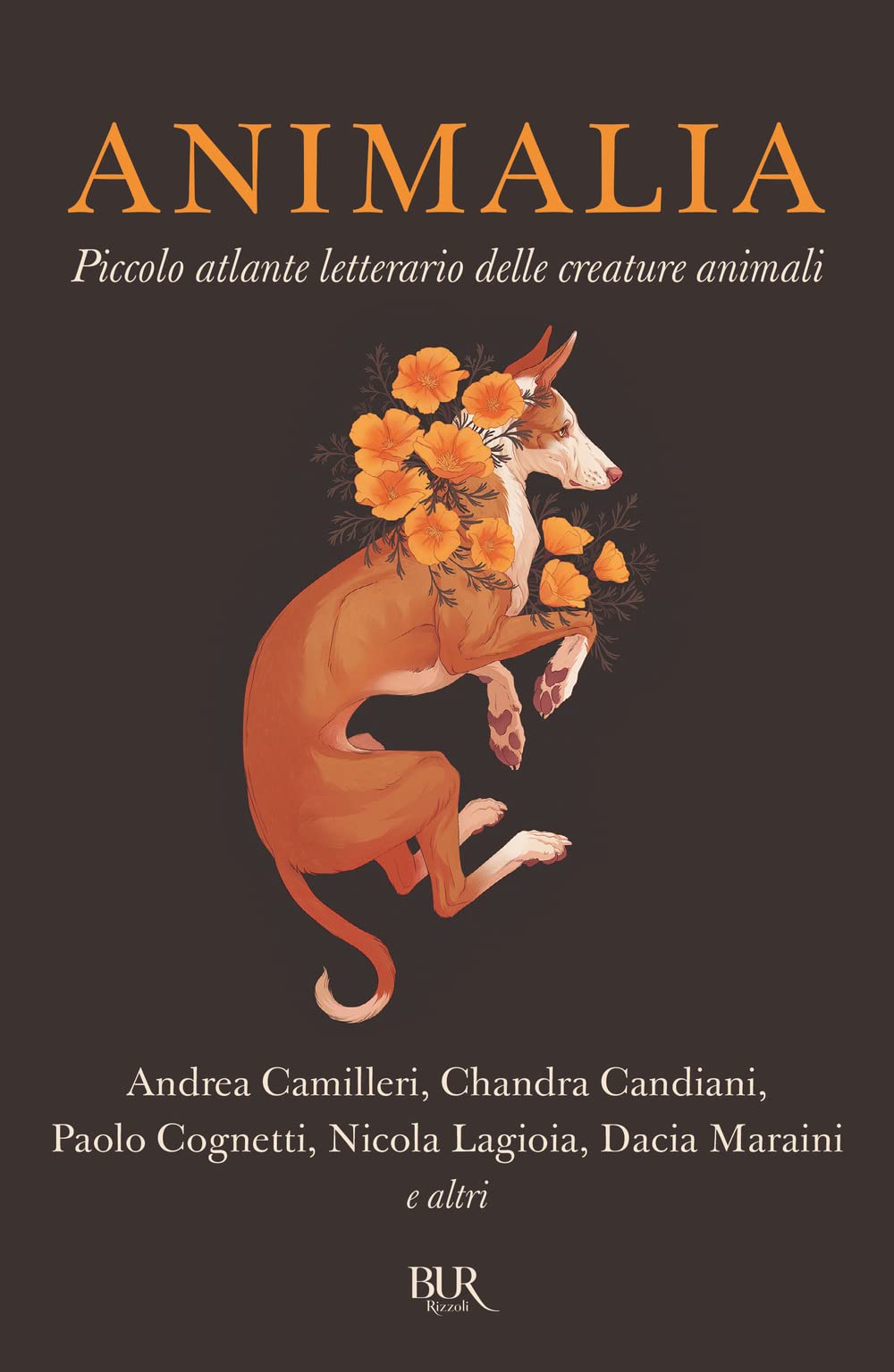 Animalia. Piccolo atlante delle creature animali book