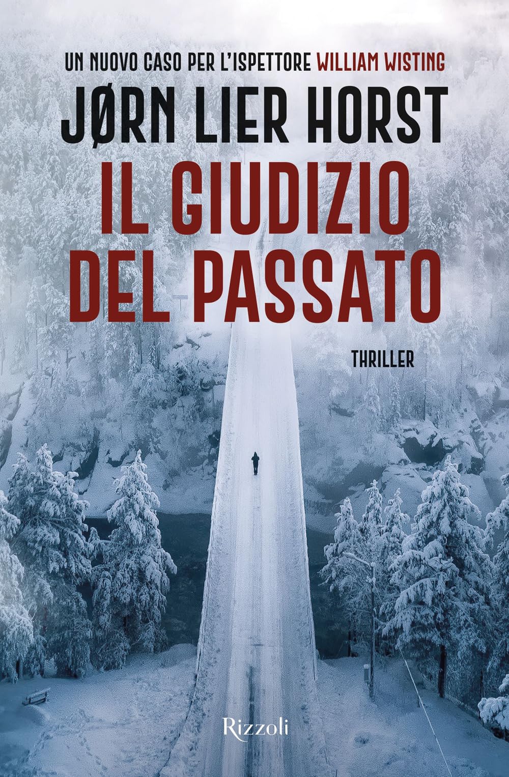 Il giudizio del passato. Un nuovo caso per l'ispettore William Wisting book