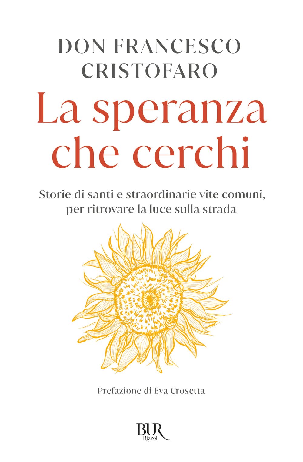 La speranza che cerchi. Storie di santi e straordinarie vite comuni, per ritrovare la luce sulla strada book