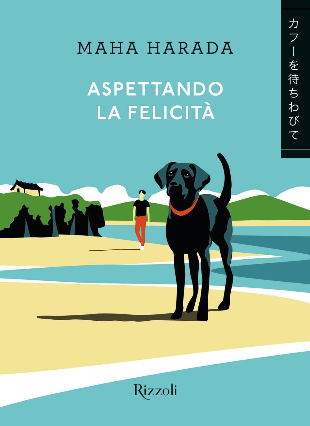 Aspettando la felicità (Varia) Contemporary literature