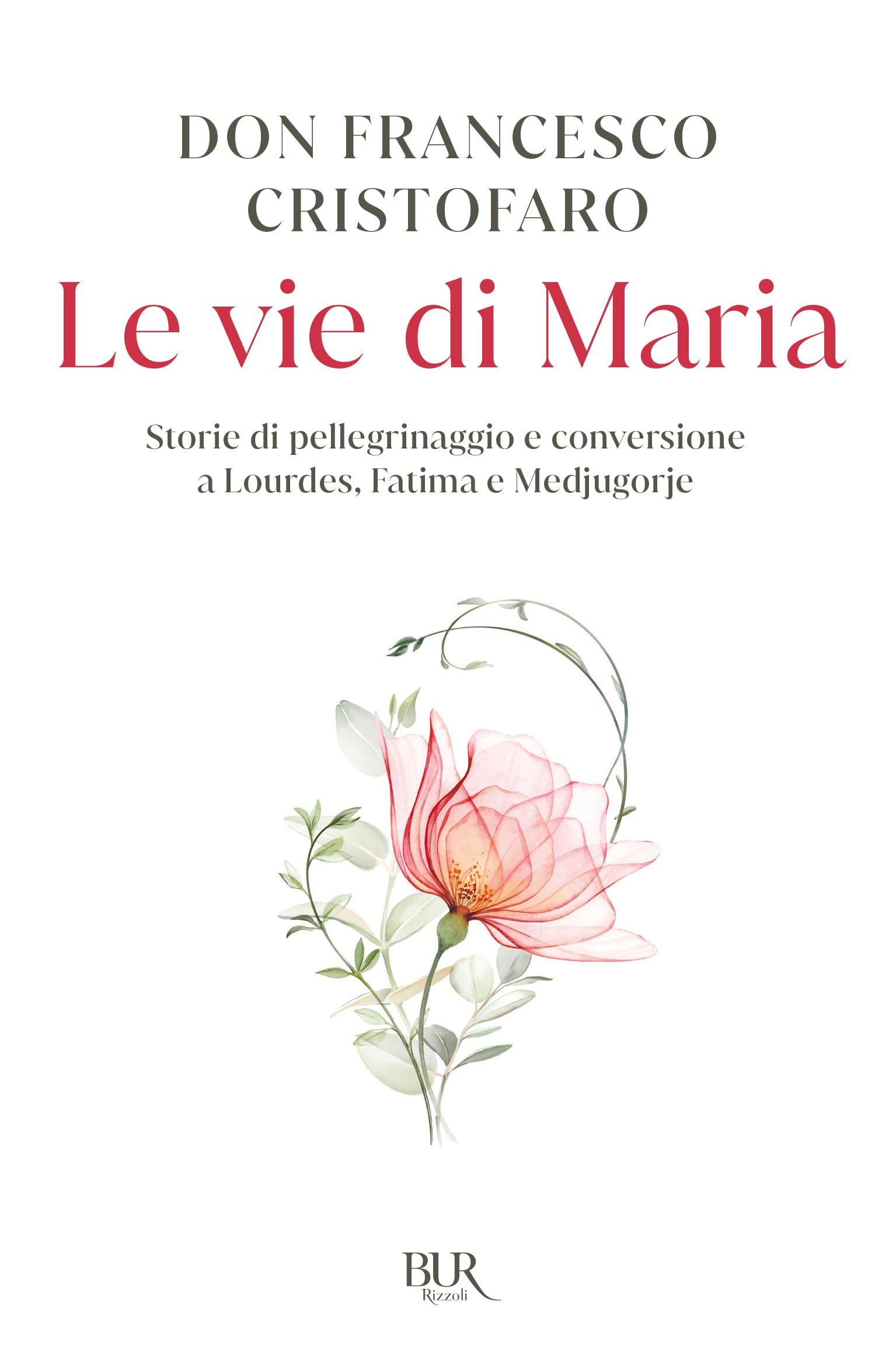 Le vie di Maria. Storie di pellegrinaggio e conversione a Lourdes, Fatima e Medjugorje (BUR Varia) Religion & Esotericism