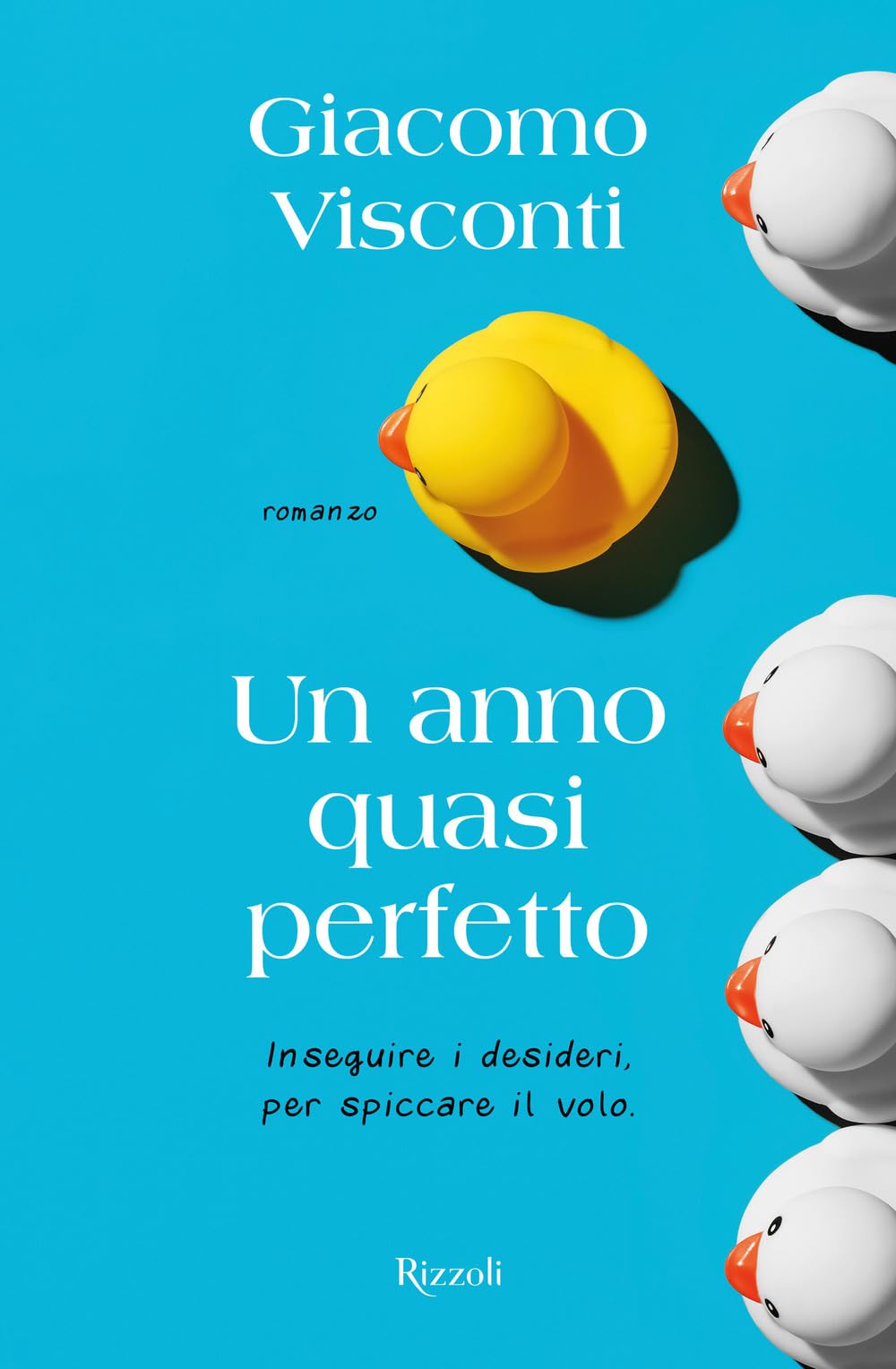Un anno quasi perfetto (Varia) Contemporary literature