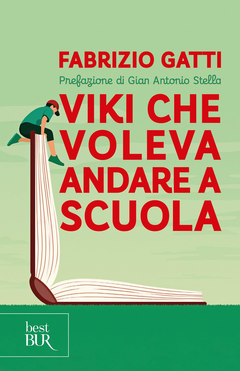 Viki che voleva andare a scuola Non-fiction