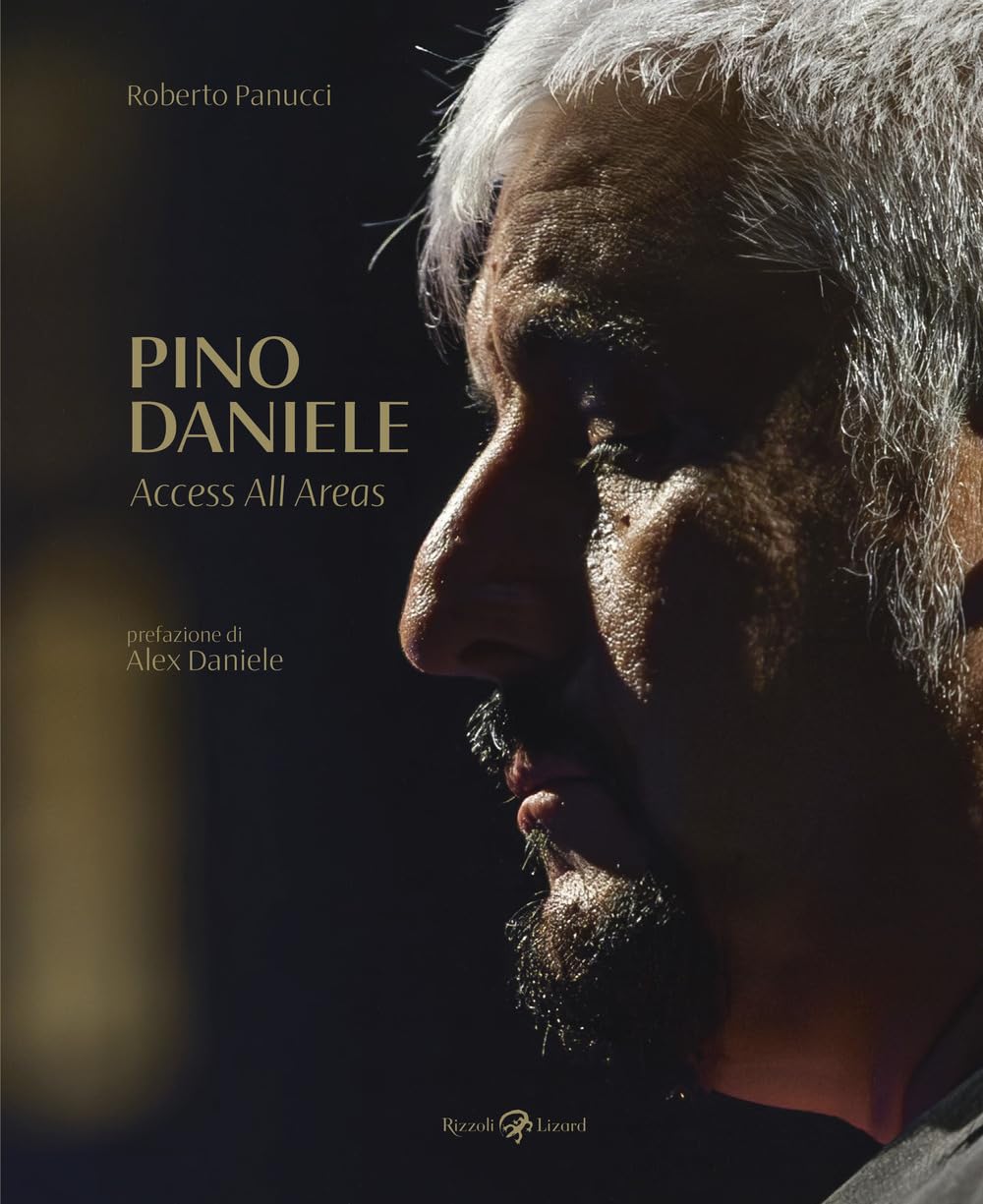 Pino Daniele. Access all areas. Ediz. illustrata book