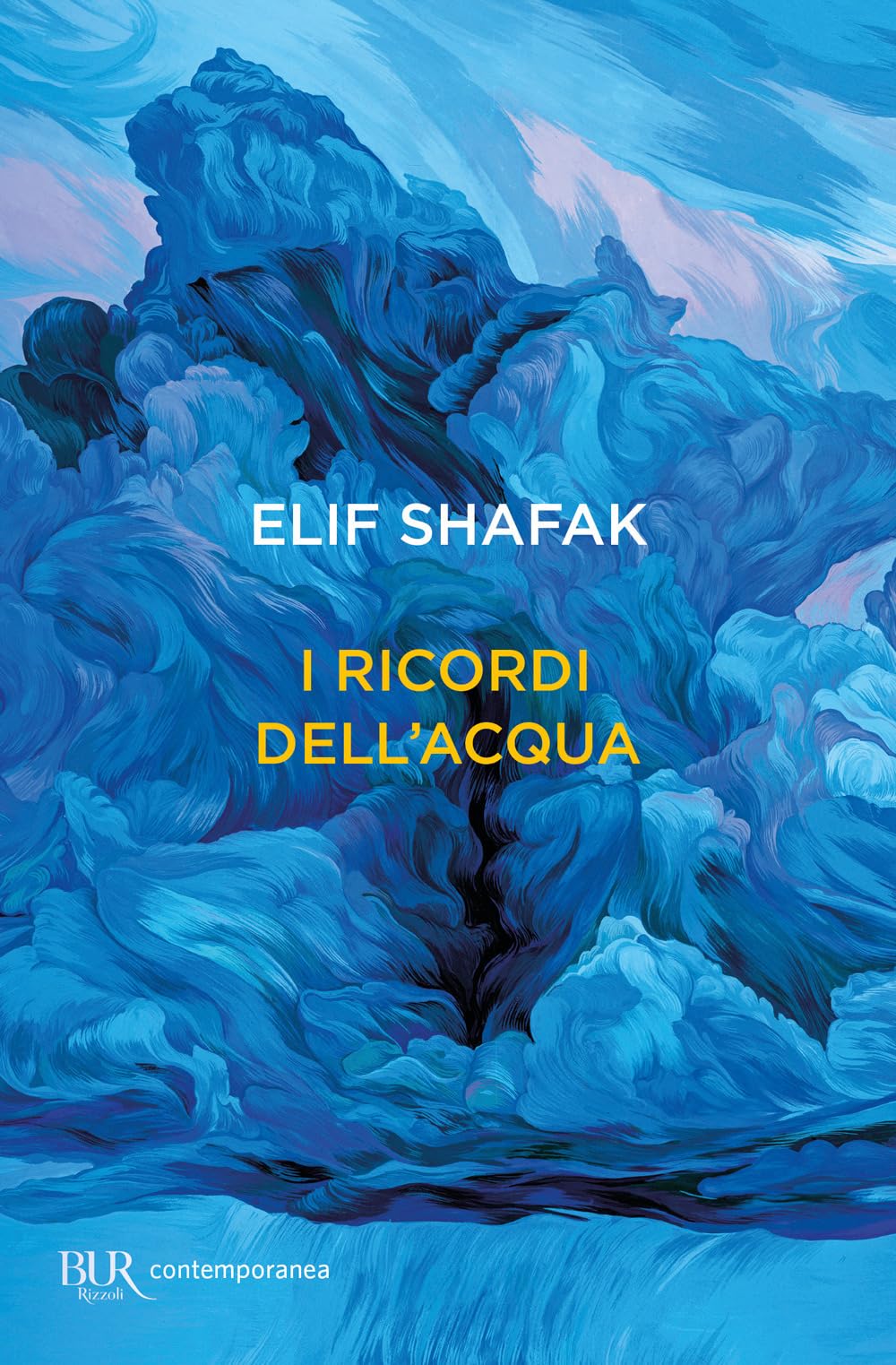 I ricordi dell'acqua book