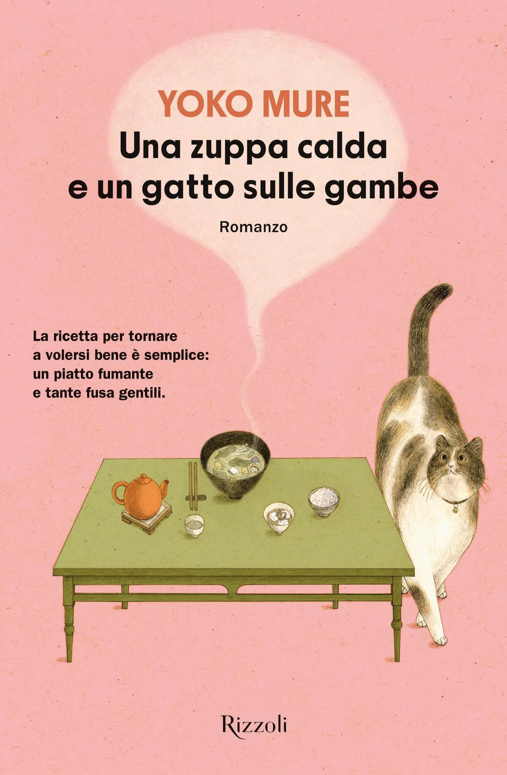 Una zuppa calda e un gatto sulle gambe Contemporary literature