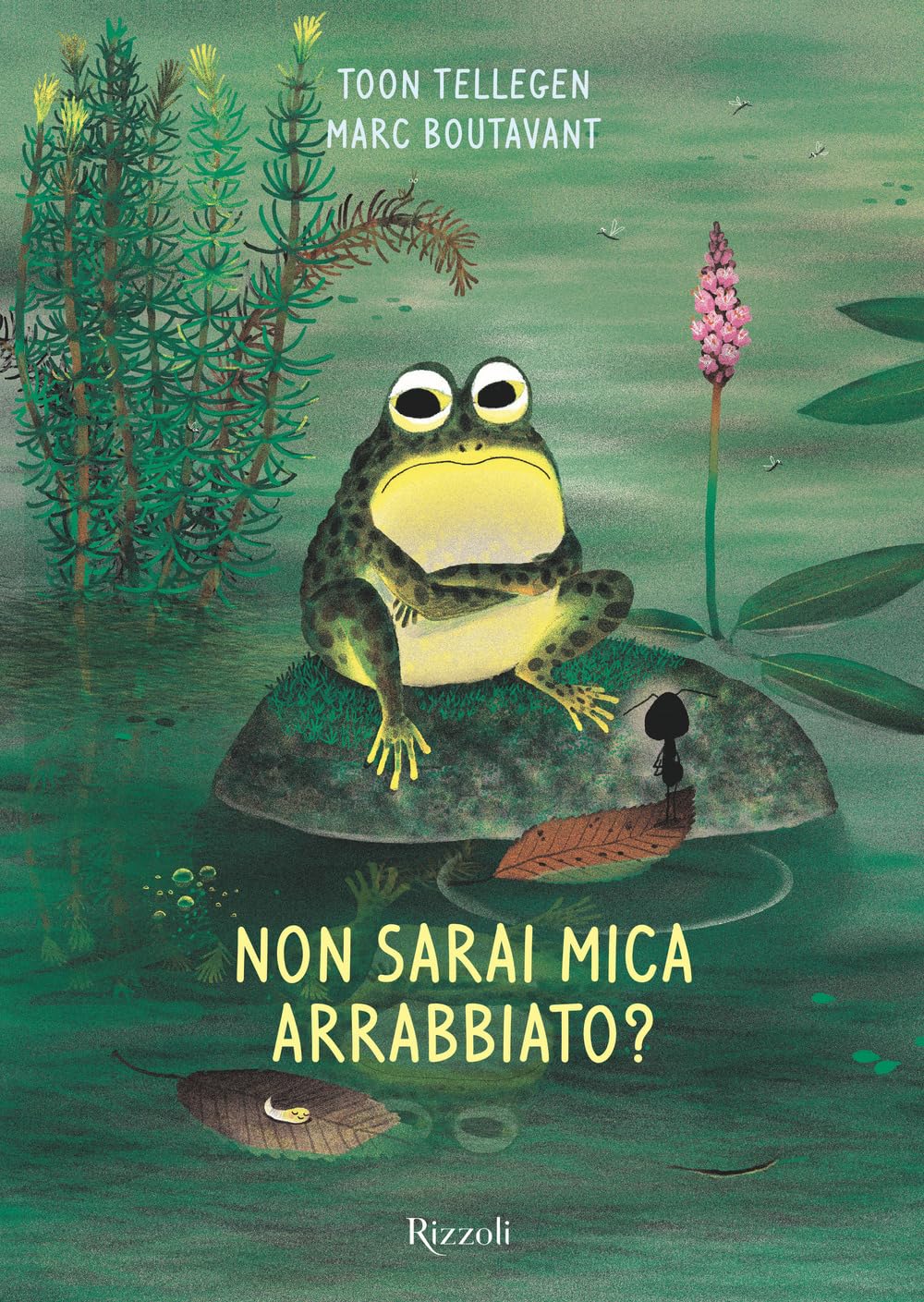 Non sarai mica arrabbiato? Non-fiction