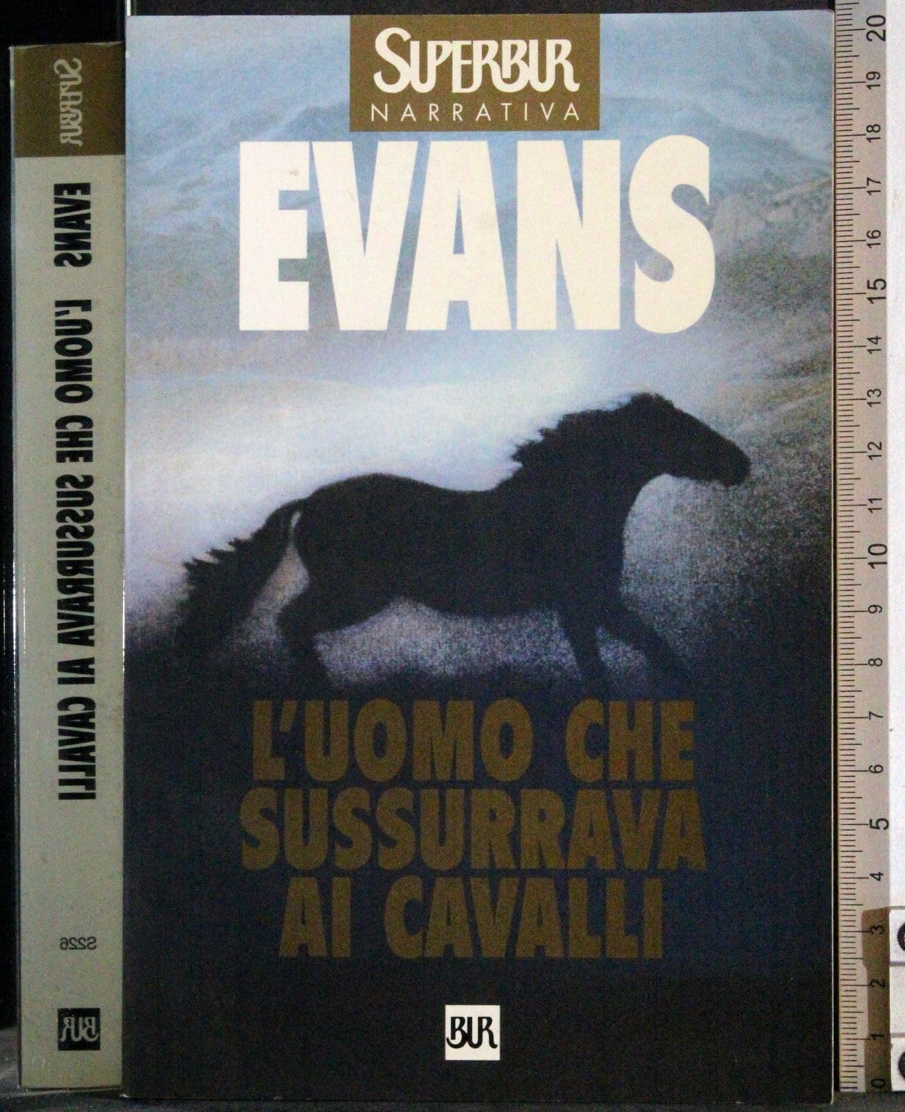 Uomo Che Sussurava AI Cavalli (L'uomo Che Sussurava Ai Cavalli, Band 226) Contemporary literature