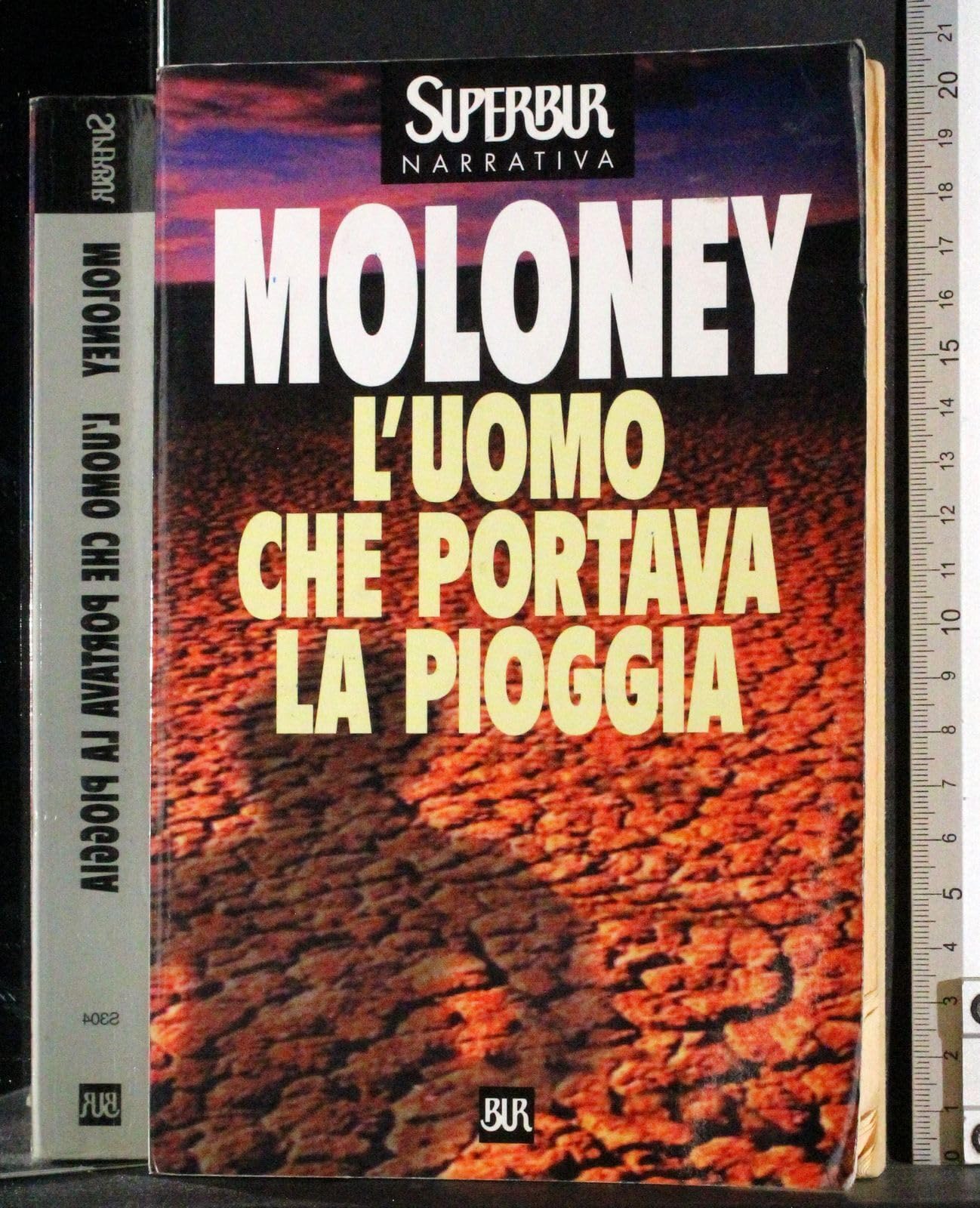 L'uomo che portava la pioggia book