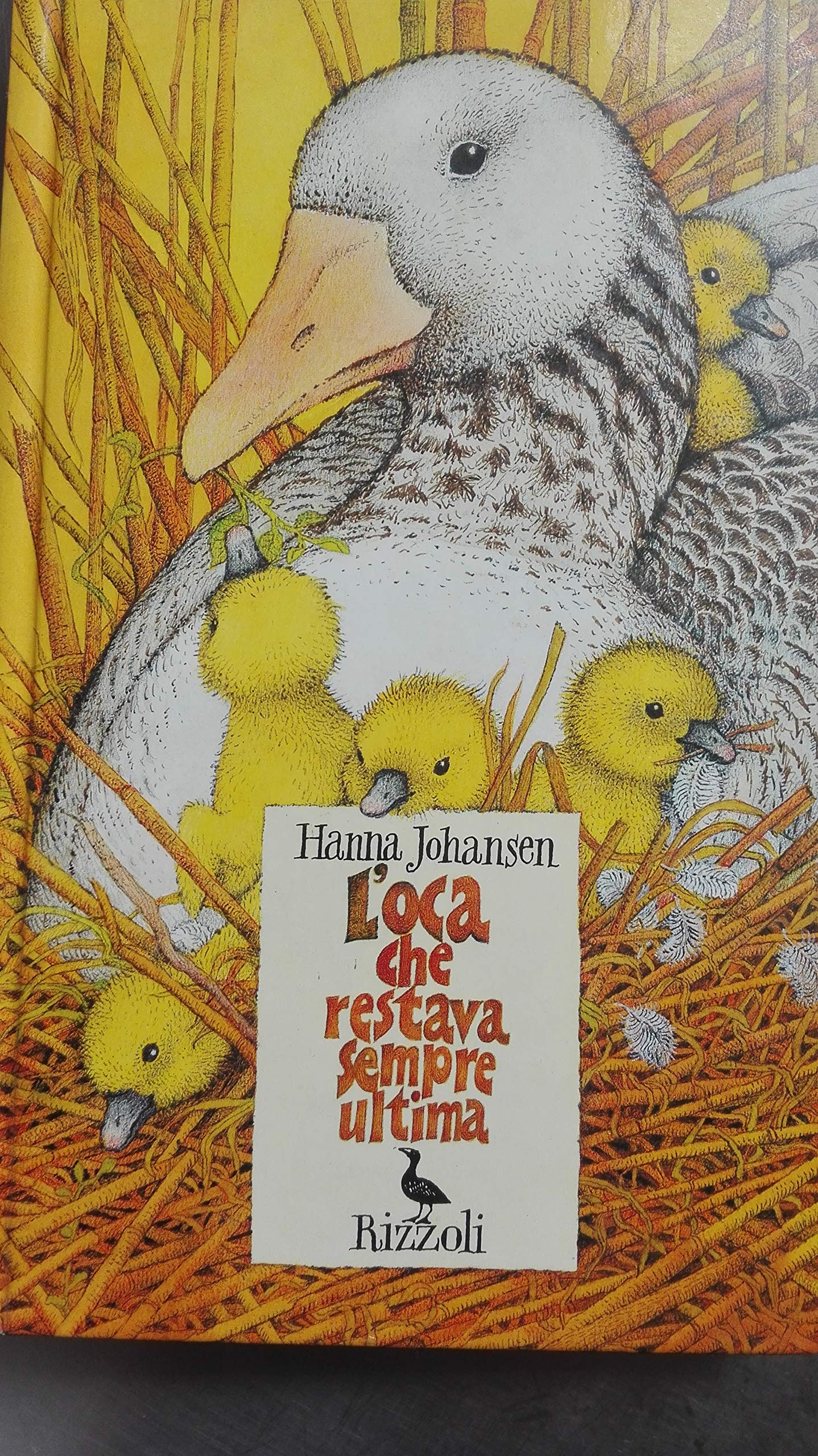 L'oca che restava sempre ultima book