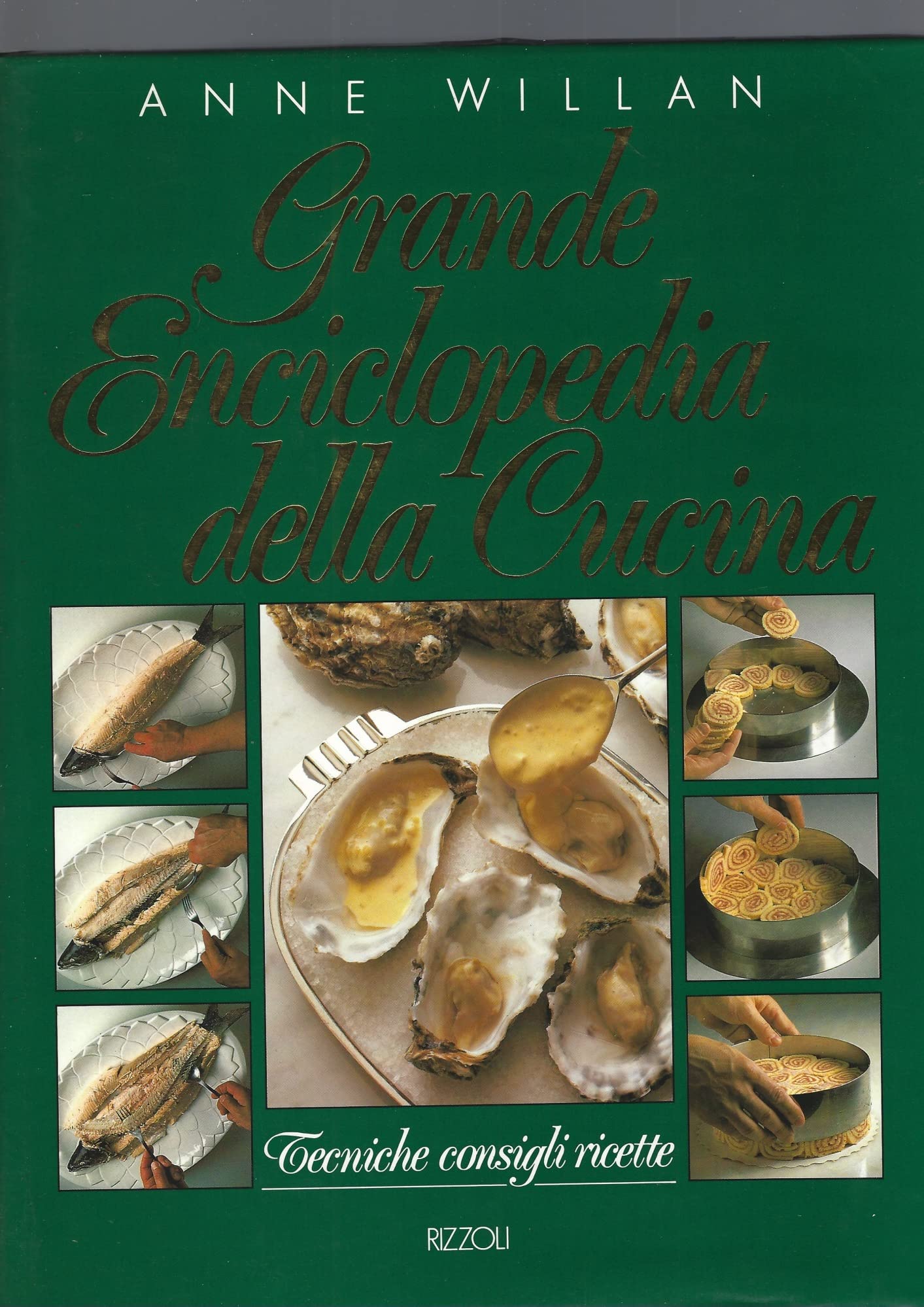 Grande enciclopedia della cucina book