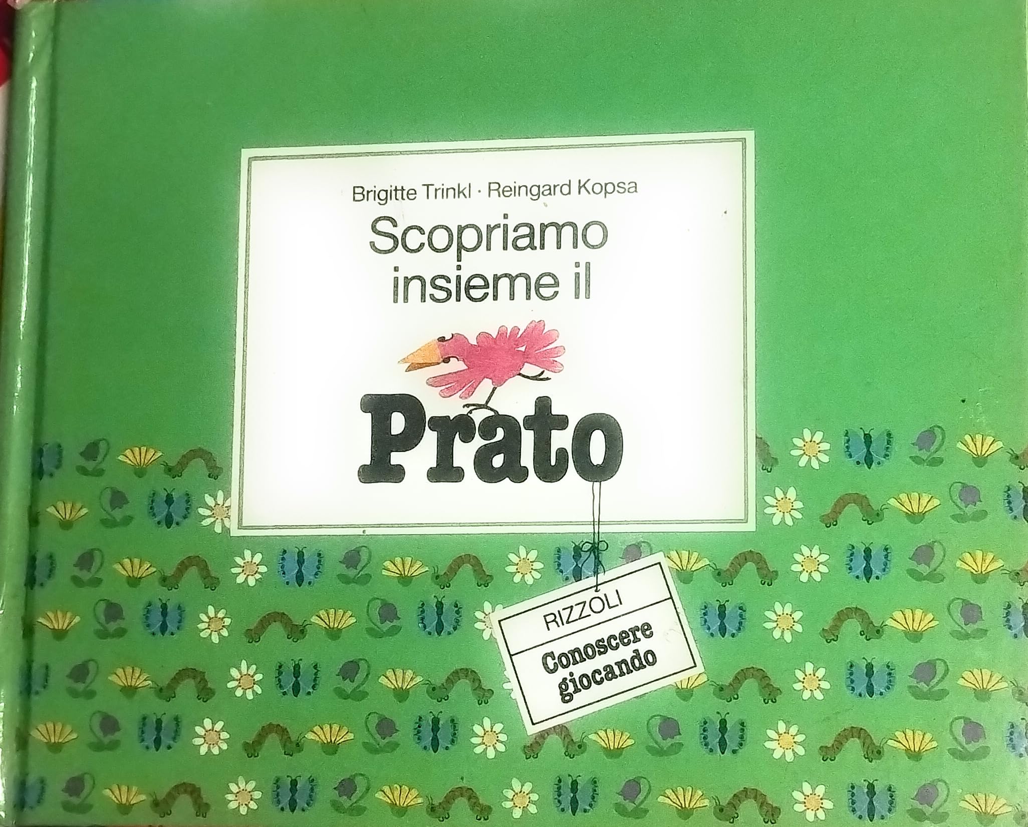 Scopriamo insieme il prato book
