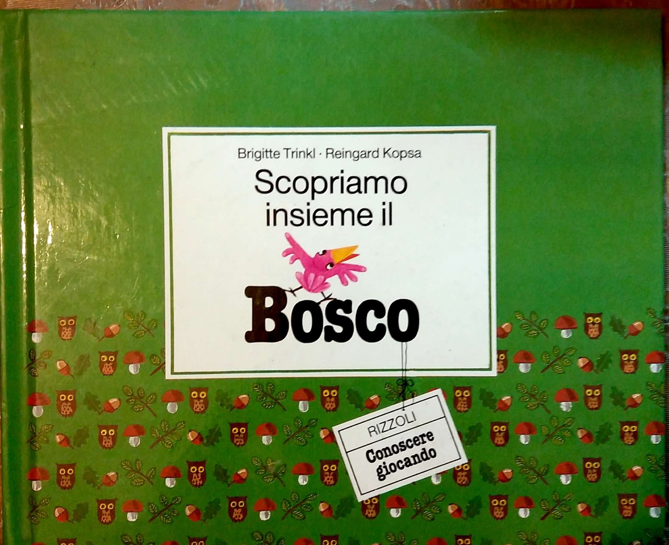 Scopriamo insieme il bosco (Per i più piccoli) Books