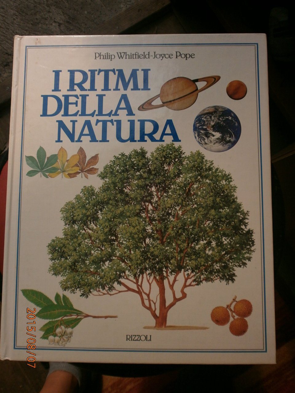 I ritmi della natura (Per i più piccoli) Books