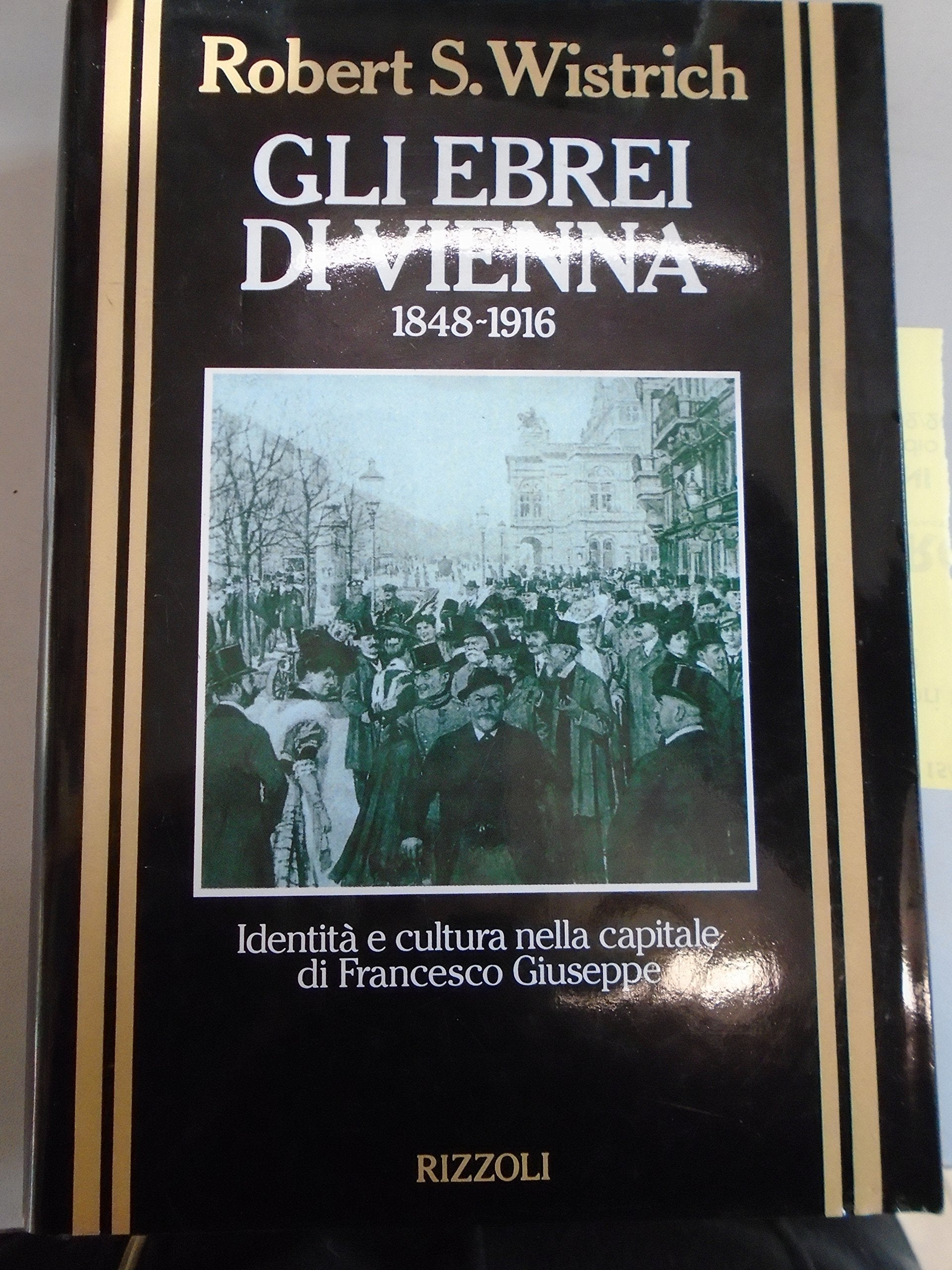 Gli ebrei di Vienna (1848-1916). Identità e cultura nella capitale di Francesco Giuseppe book