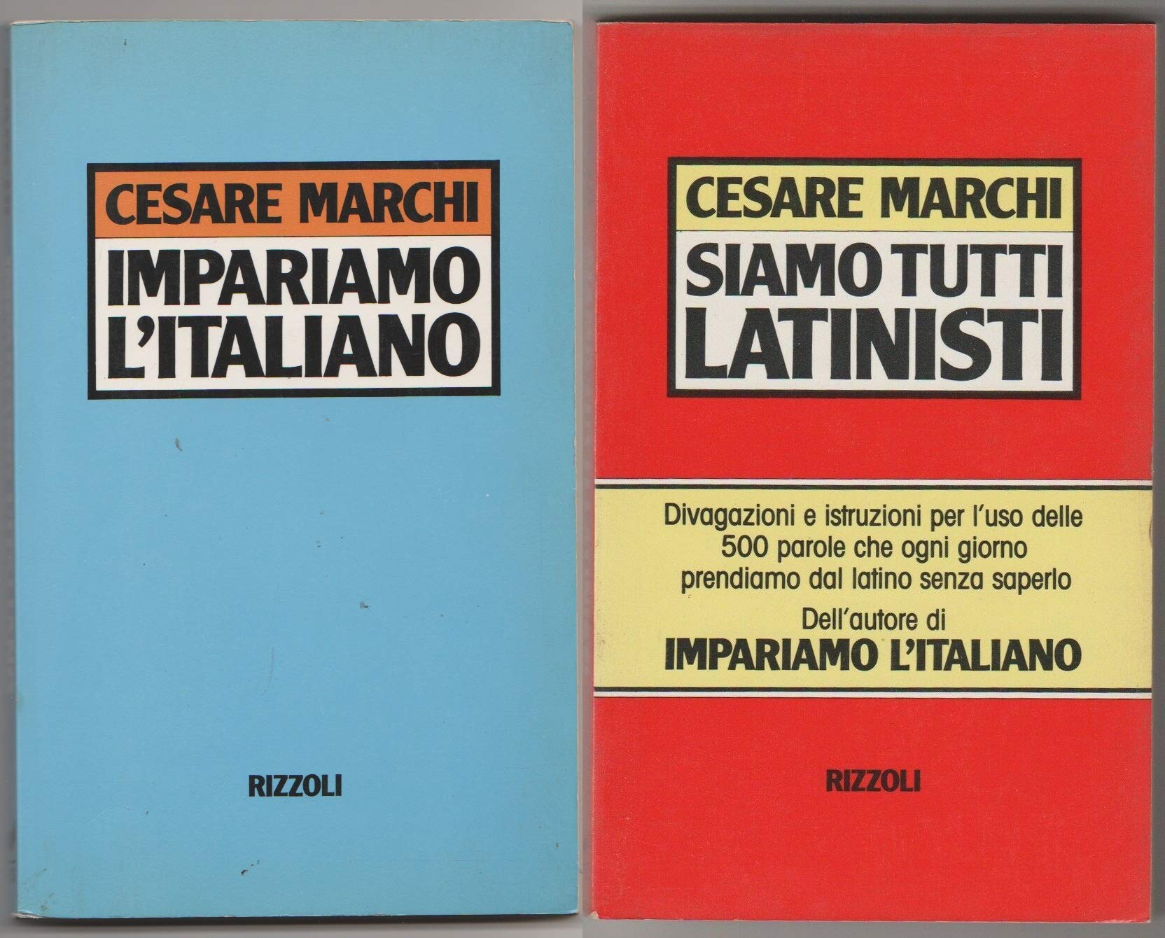 Impariamo l'italiano-Siamo tutti latinisti (Opere di Cesare Marchi) Books
