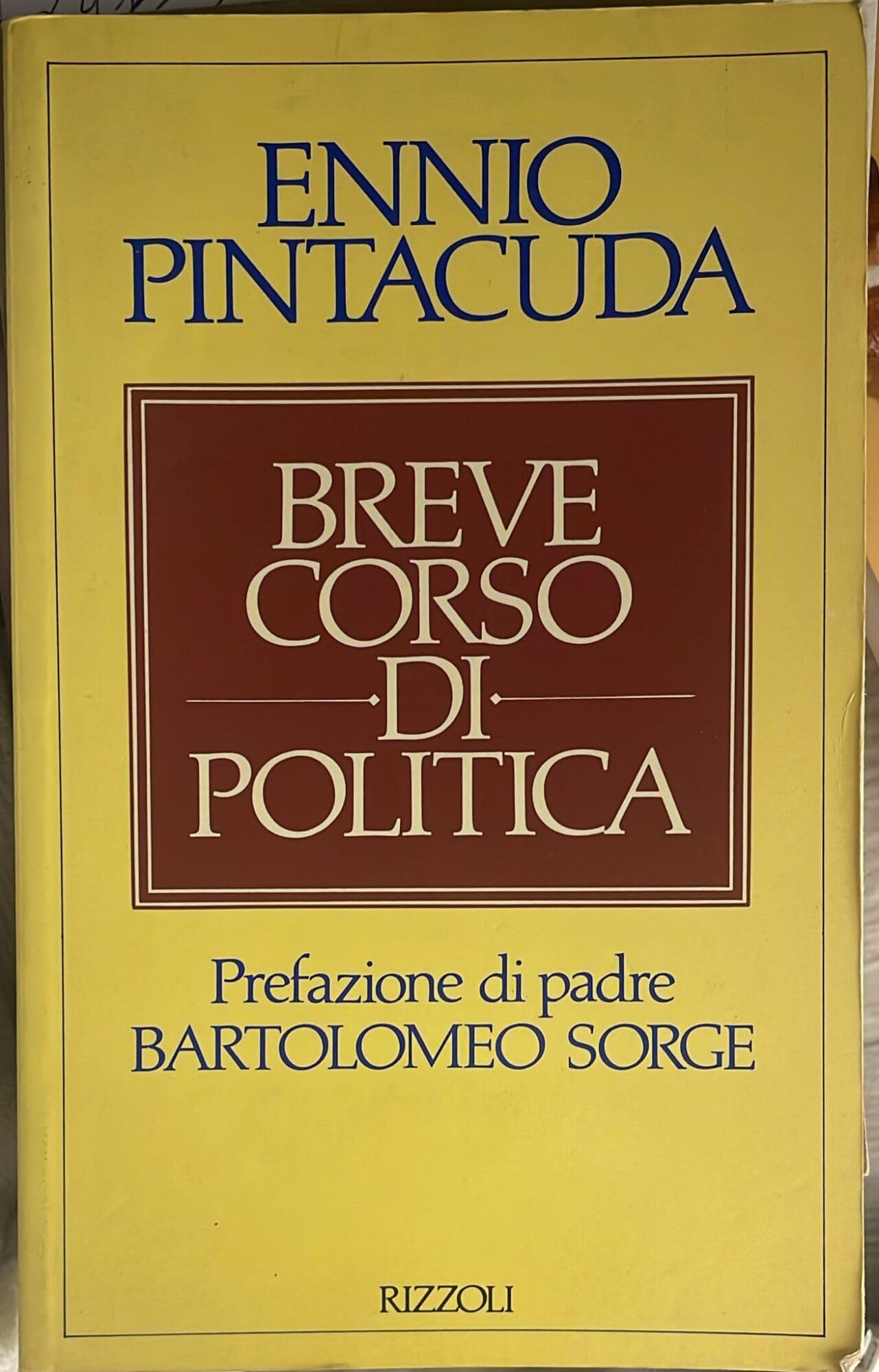 Breve corso di politica (Saggi italiani) Books