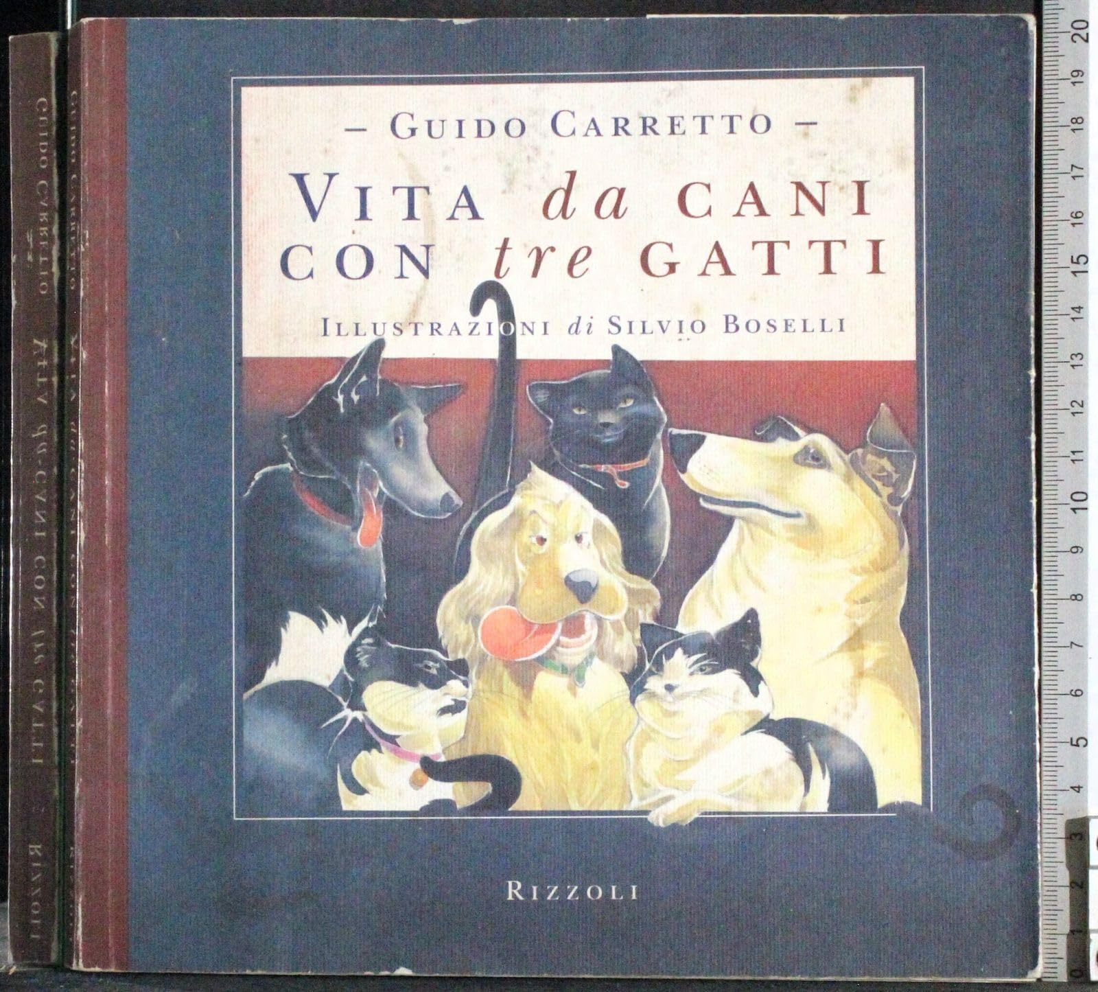 Vita da cani con tre gatti (Varia narrativa italiana) Contemporary literature