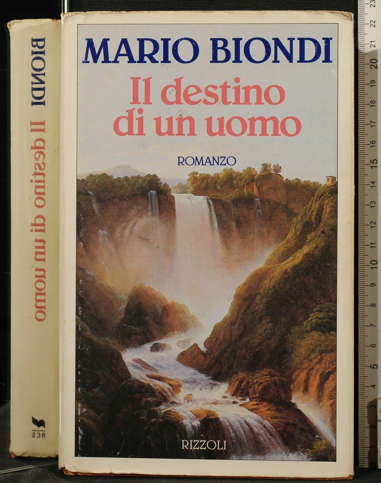 Il destino di un uomo (Romanzi italiani) Contemporary literature