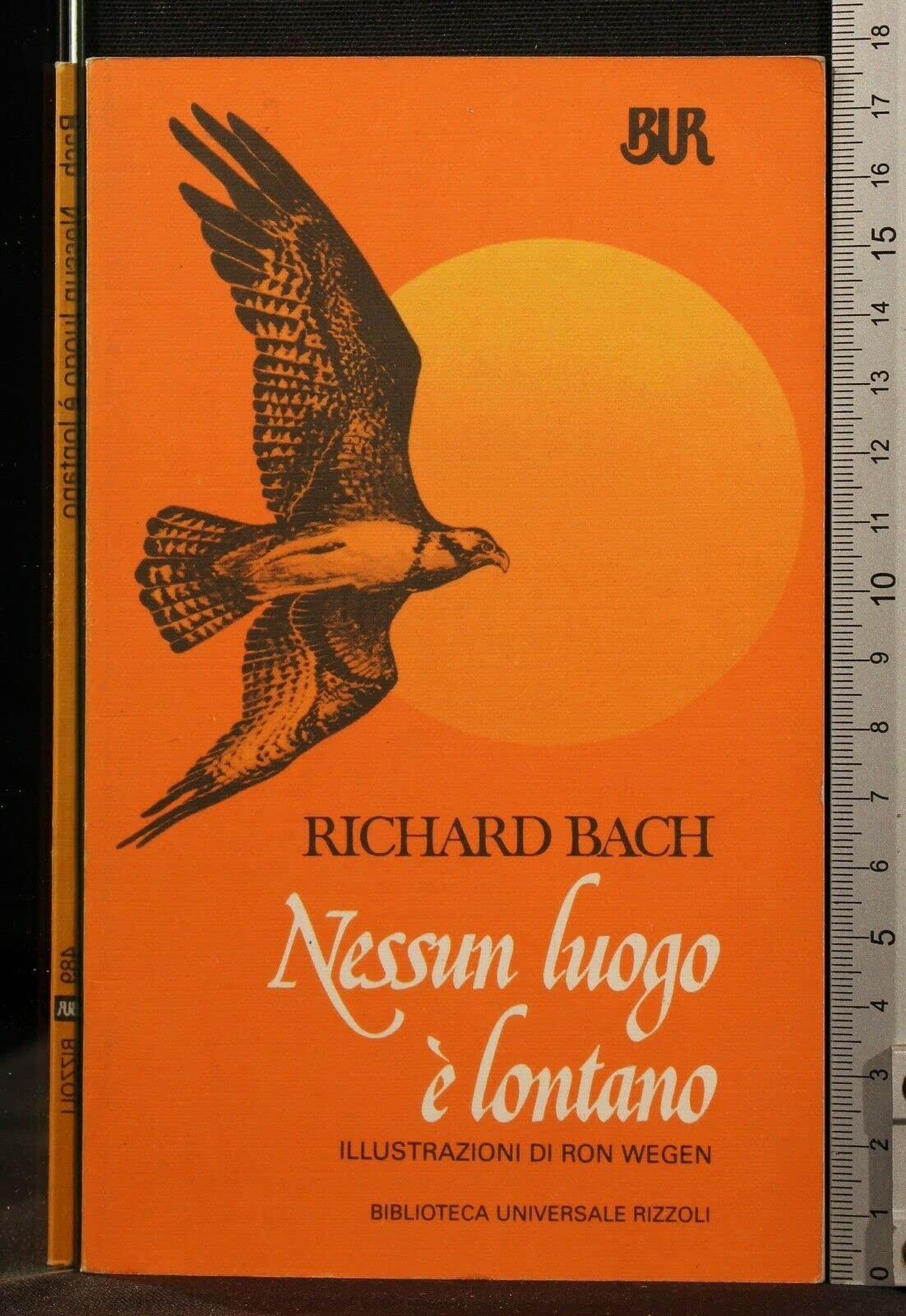 Nessun luogo è lontano (Varia narrativa straniera) Contemporary literature