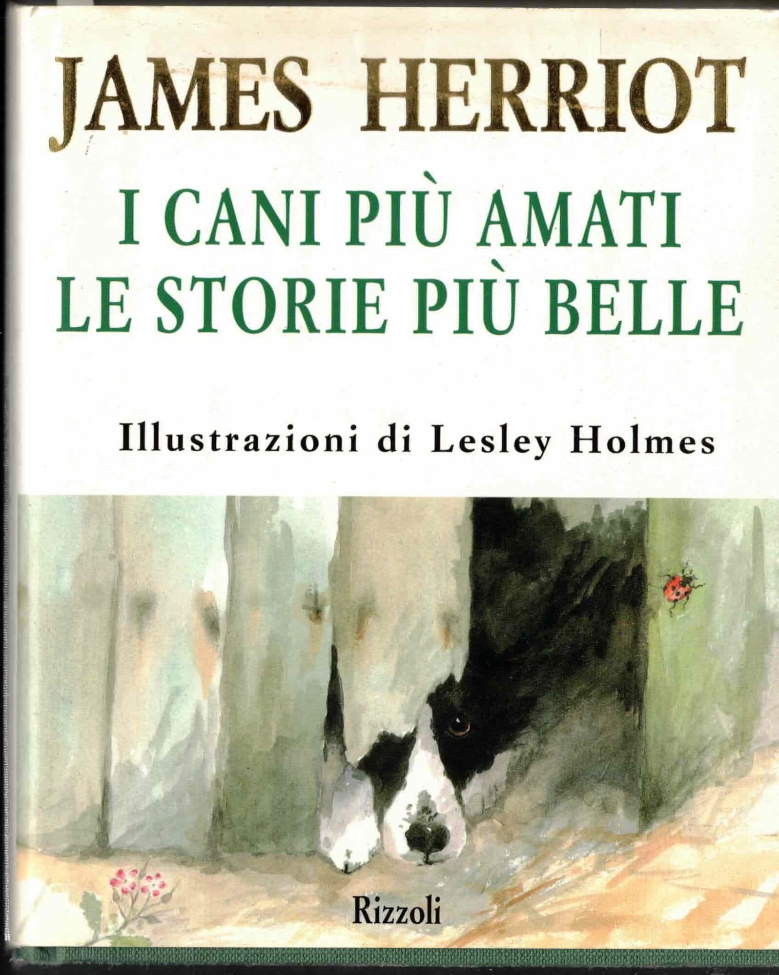 I cani più amati. Le storie più belle (Varia narrativa straniera) Essays & Short Stories