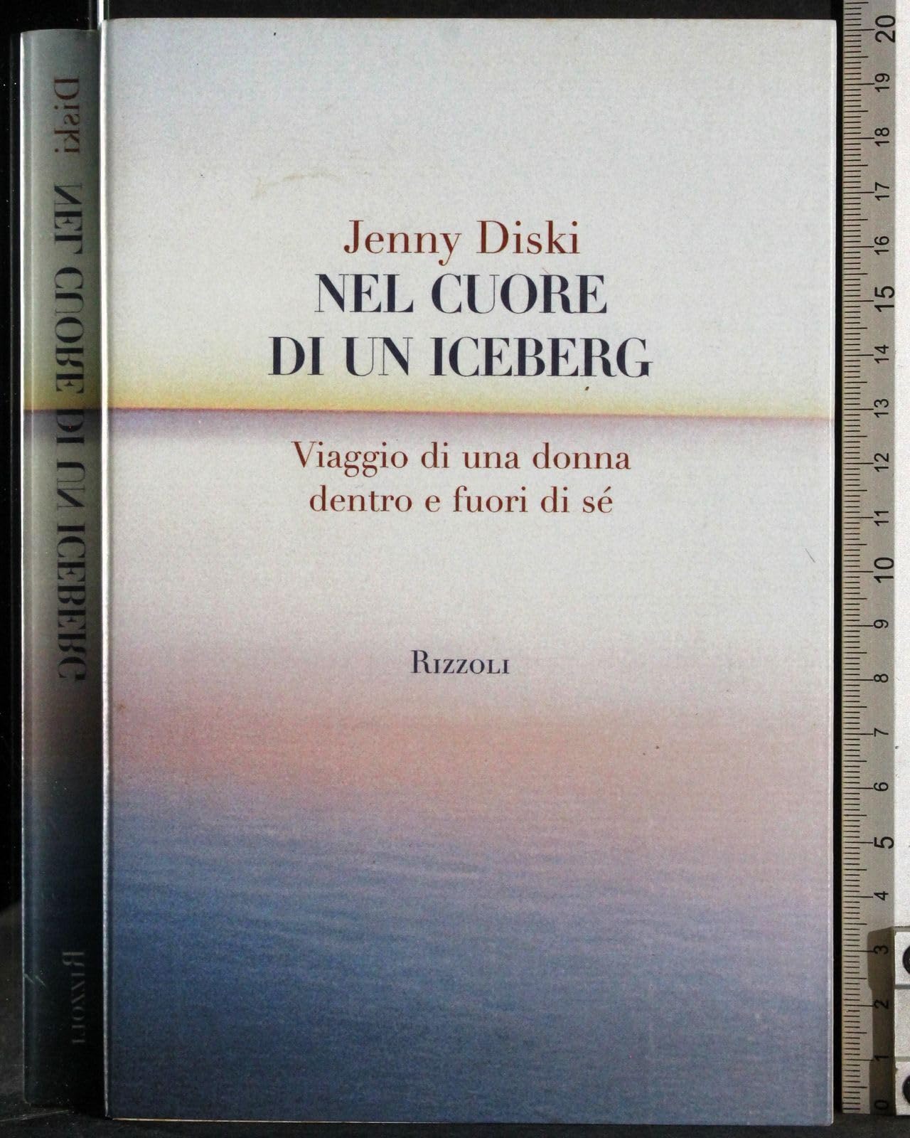 Nel cuore di un iceberg. Viaggio di una donna dentro e fuori di sé book