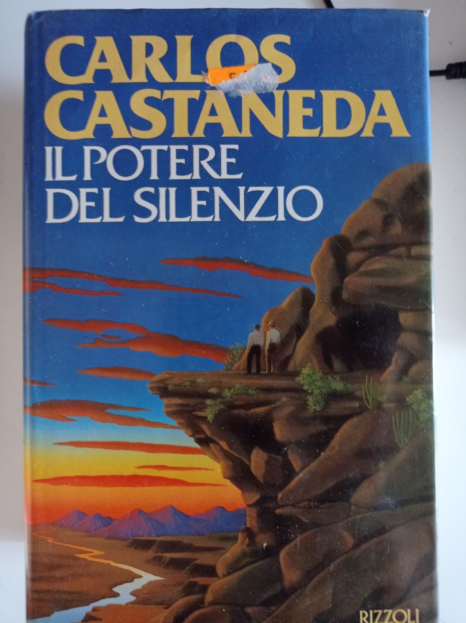 Il potere del silenzio (Varia narrativa straniera) Religion & Esotericism