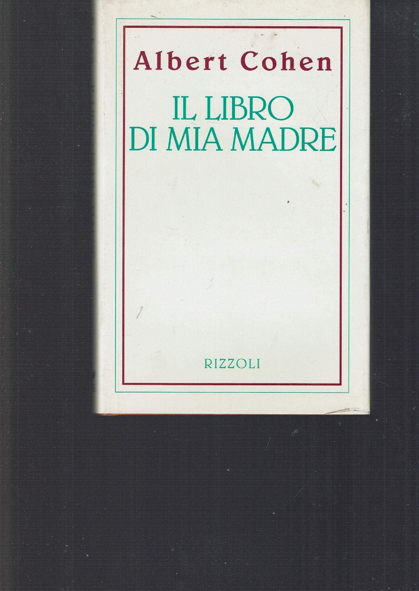 Il libro di mia madre (Piccola scala stranieri) Contemporary literature