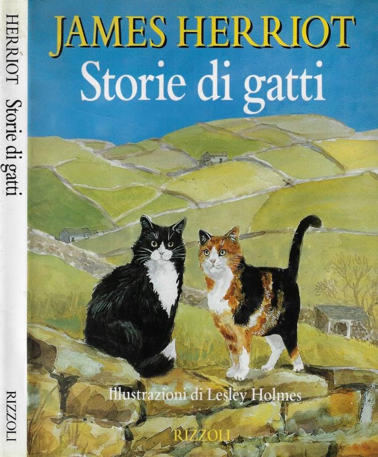 Storie di gatti (Varia narrativa straniera) Essays & Short Stories