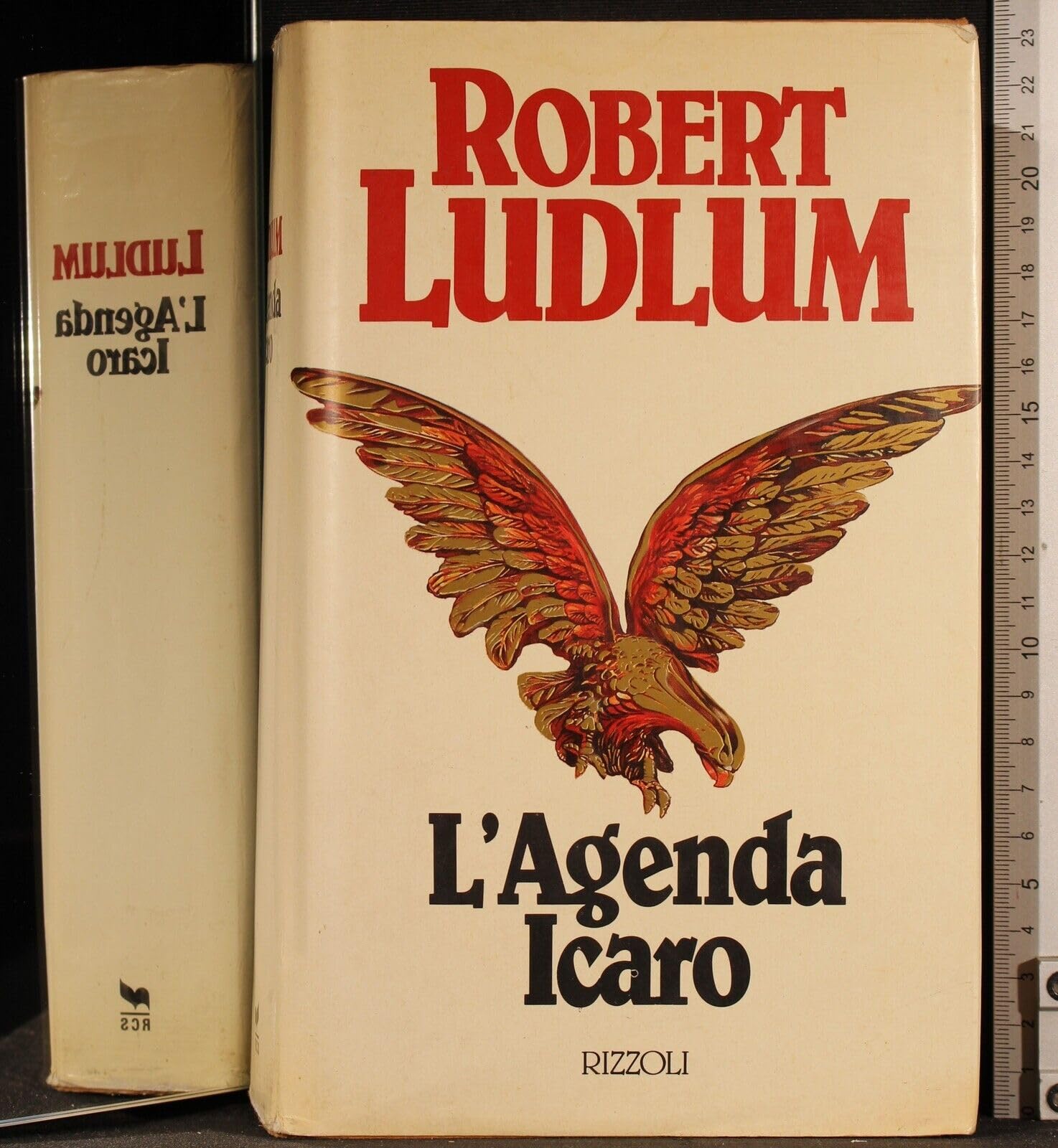 L' Agenda Icaro. Books