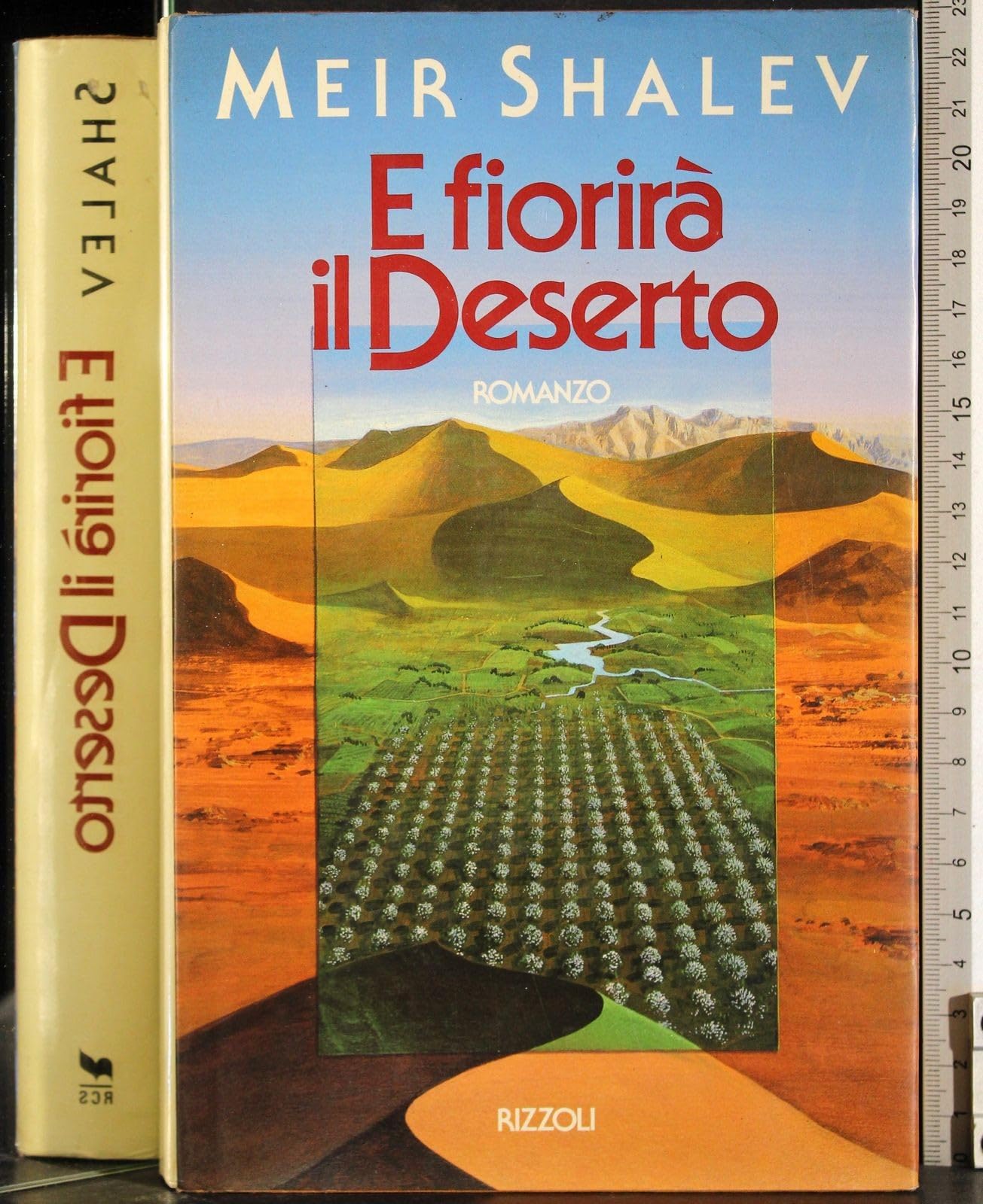 E fiorirà il deserto (Scala stranieri) Contemporary literature