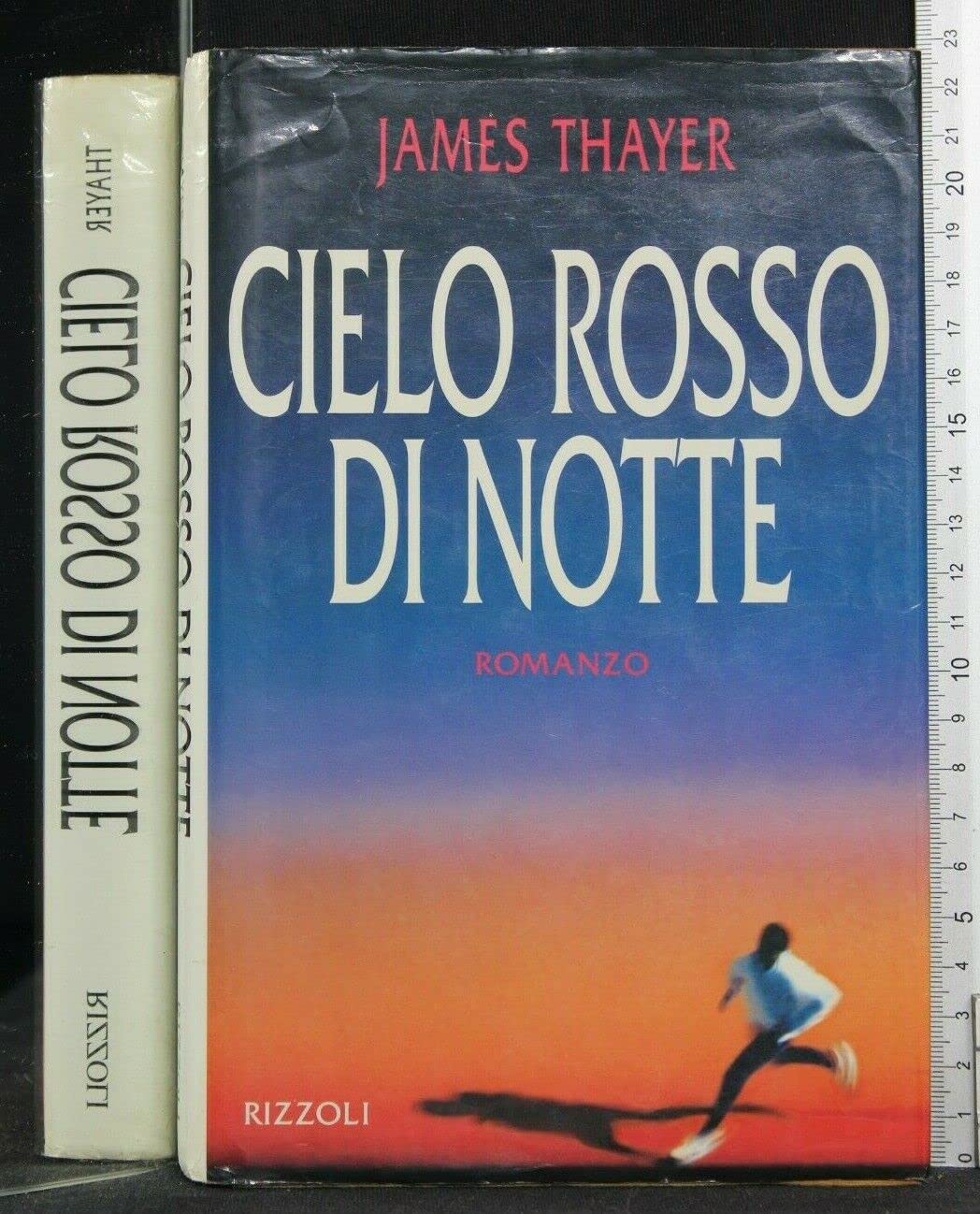Cielo rosso di notte (Scala stranieri) Contemporary literature Books