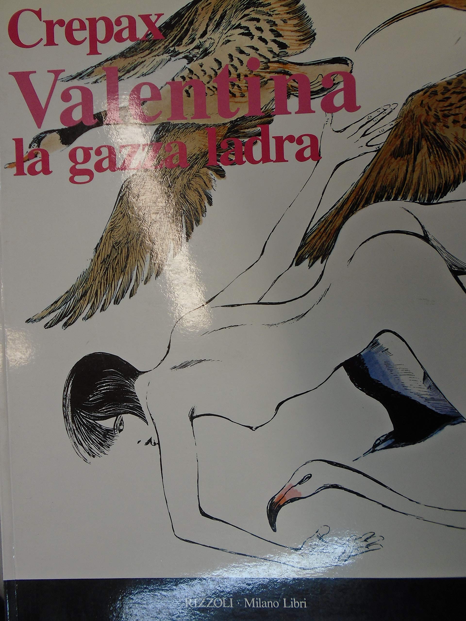 Valentina la gazza ladra book