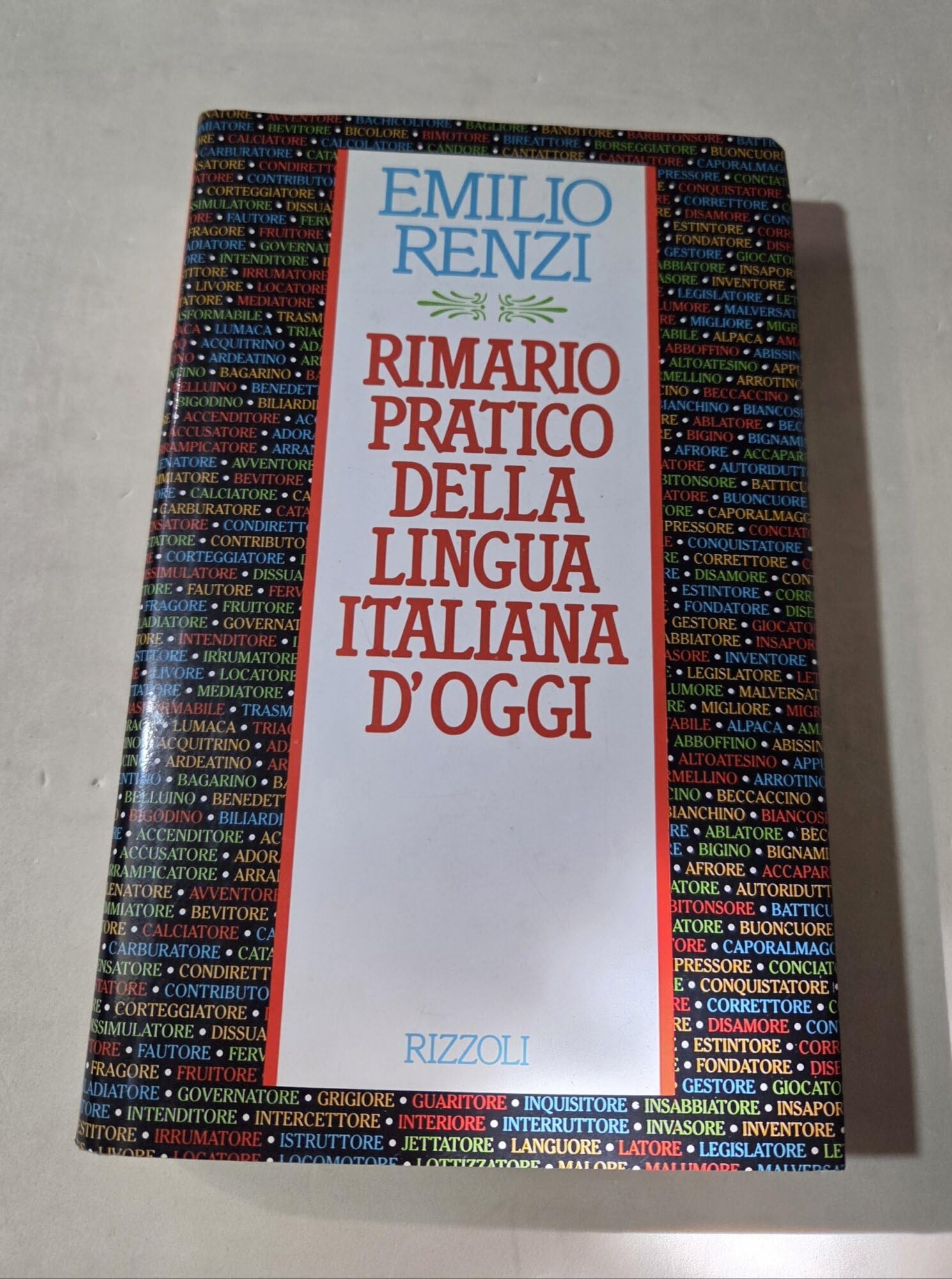 Rimario pratico della lingua italiana (Varia saggistica italiana) Reference Books