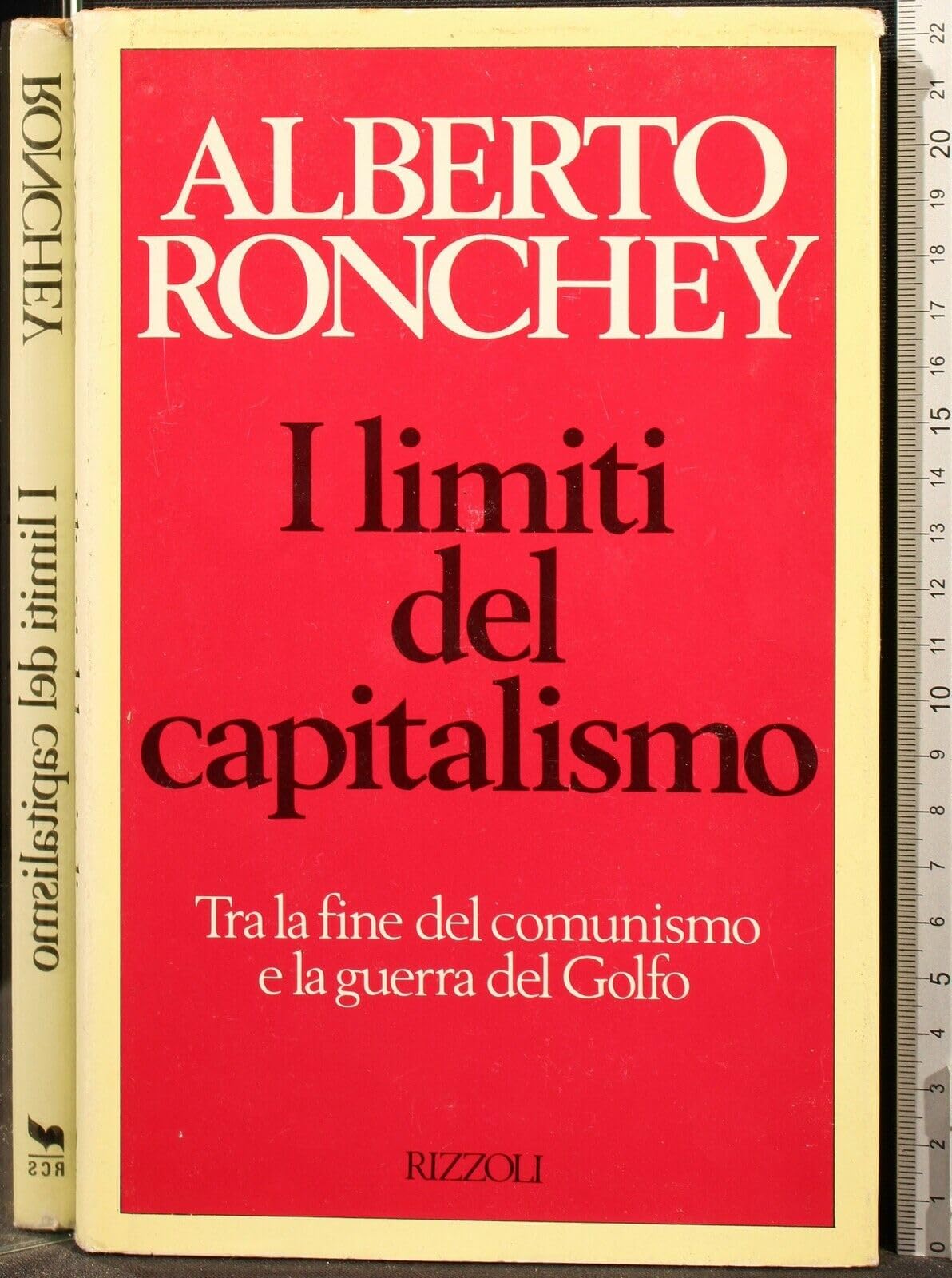 I limiti del capitalismo book