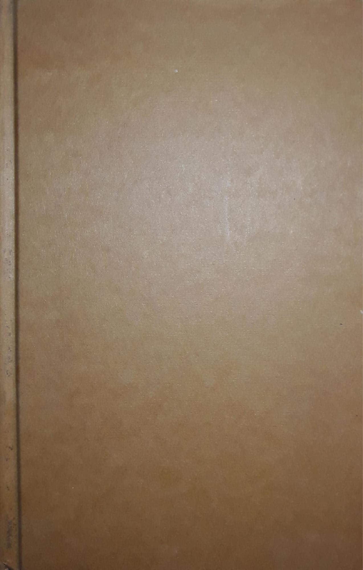 L'Europa degli uomini (Saggi stranieri) Books