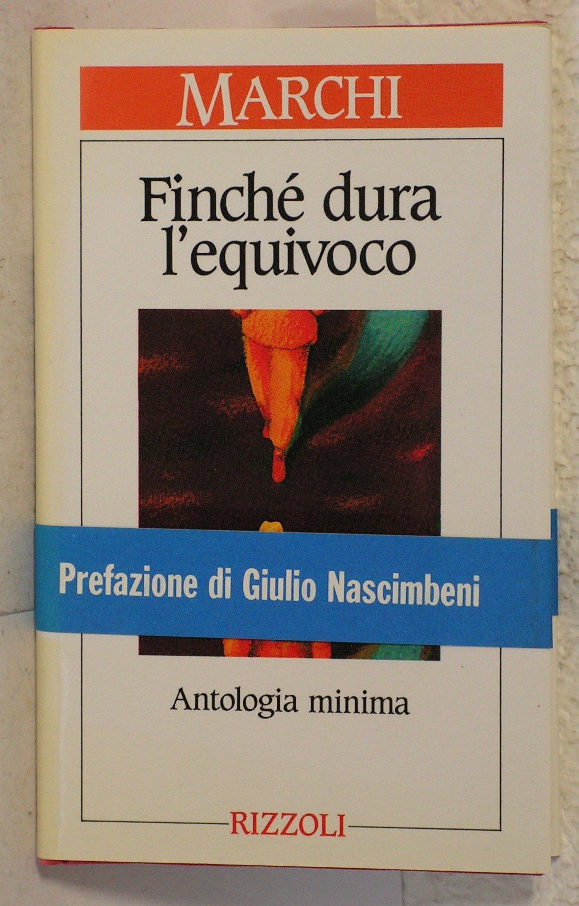 Finché dura l'equivoco book
