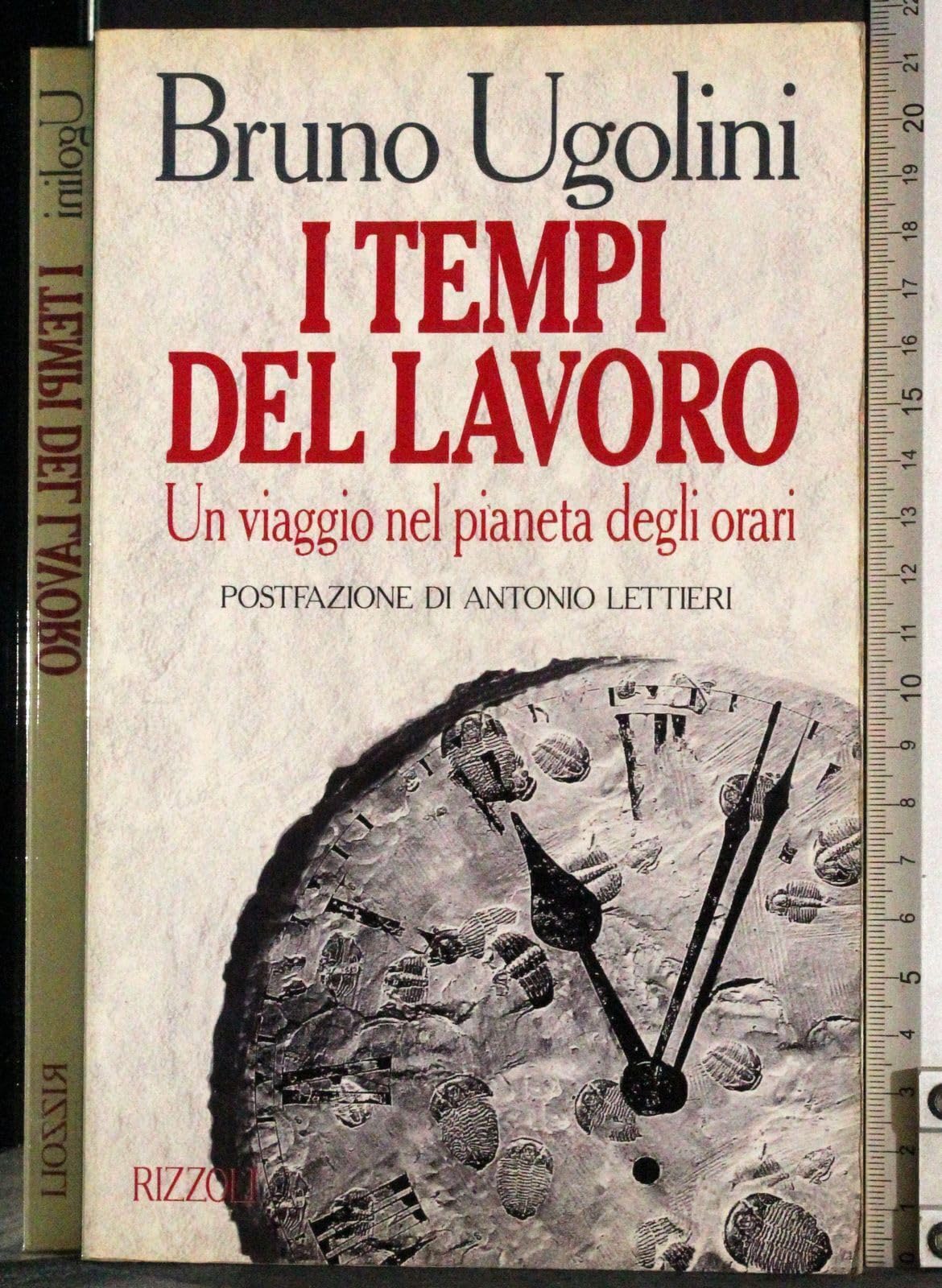 I tempi del lavoro (Varia saggistica italiana) Business, Finance & Career