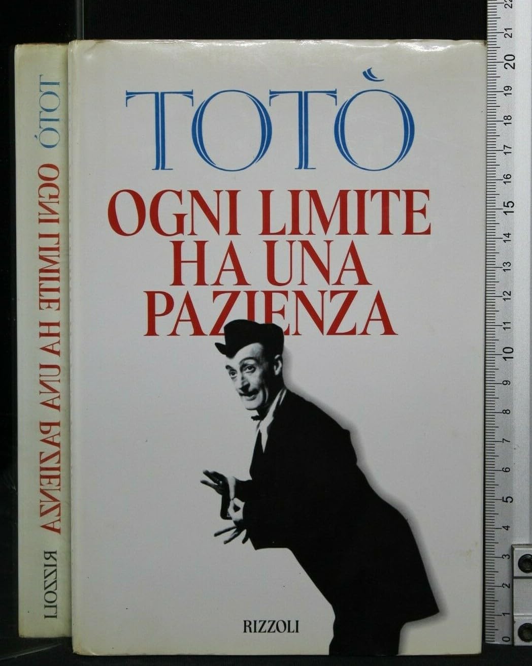Ogni limite ha una pazienza (Varia saggistica italiana) Leisure, Home & Garden