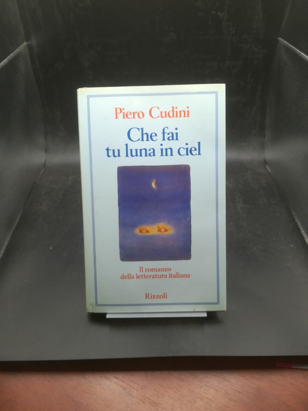 Che fai tu luna in ciel (Varia saggistica italiana) Contemporary literature