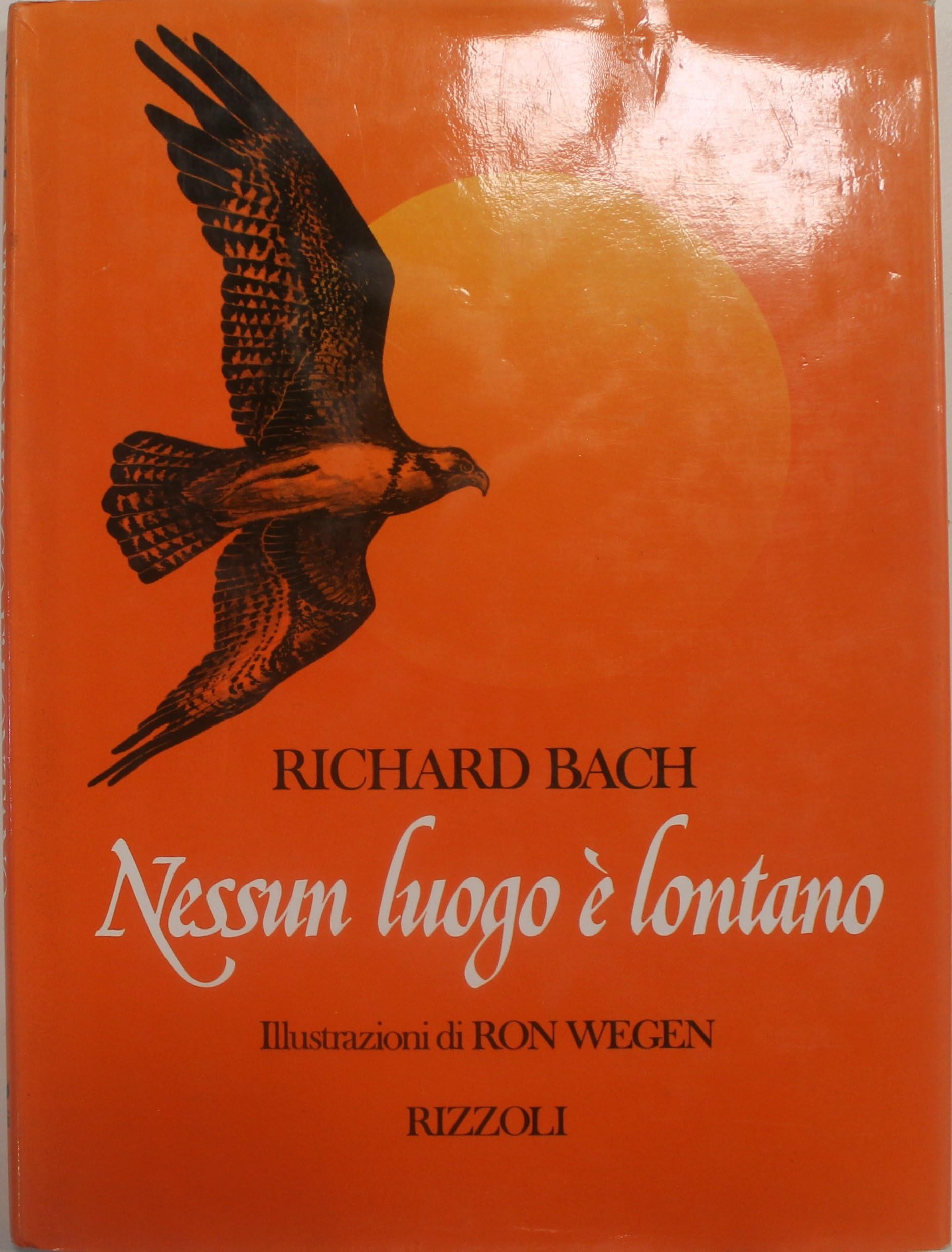 Nessun luogo è lontano (Varia narrativa straniera) Contemporary literature