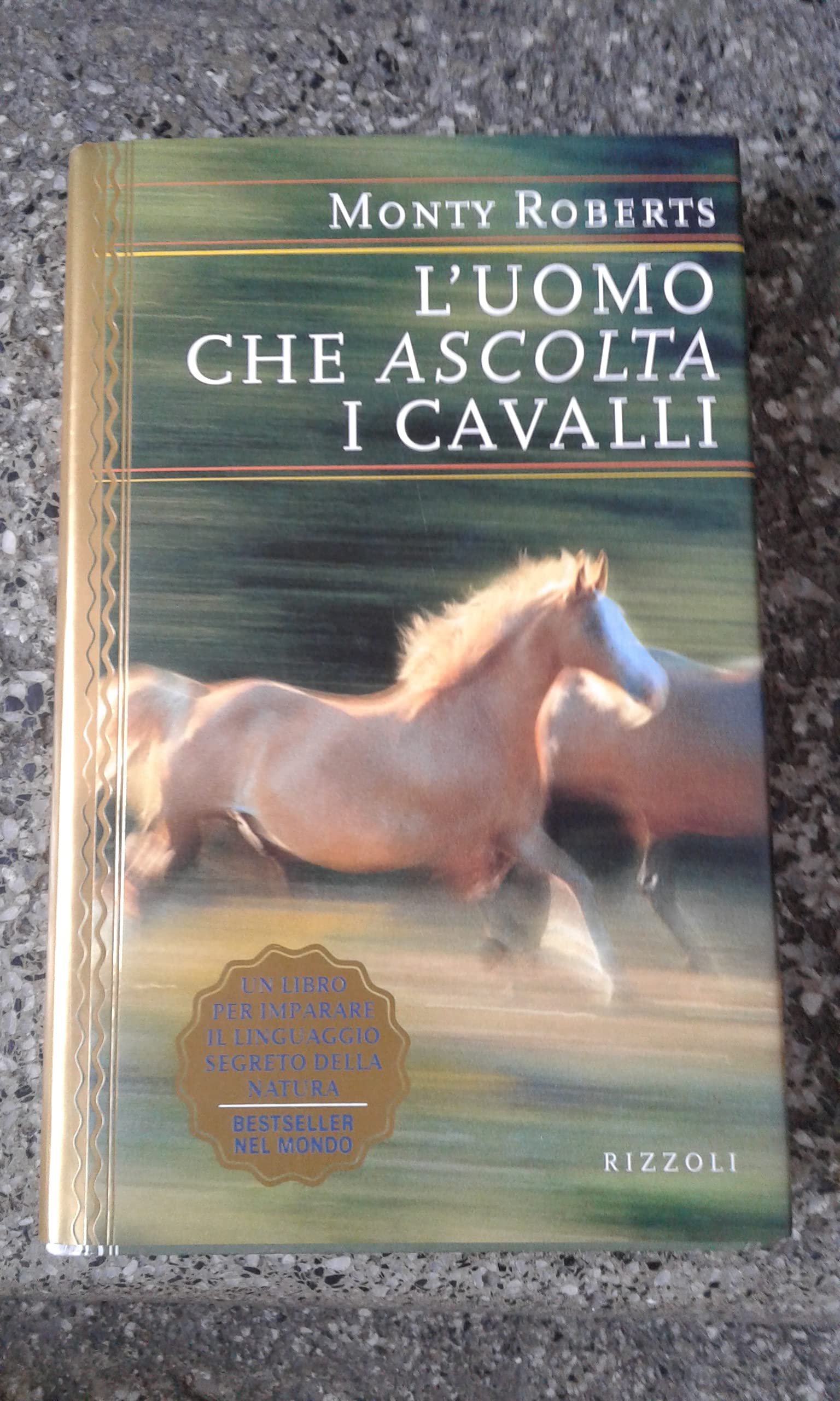 L'uomo che ascolta i cavalli (Saggi stranieri) Memories