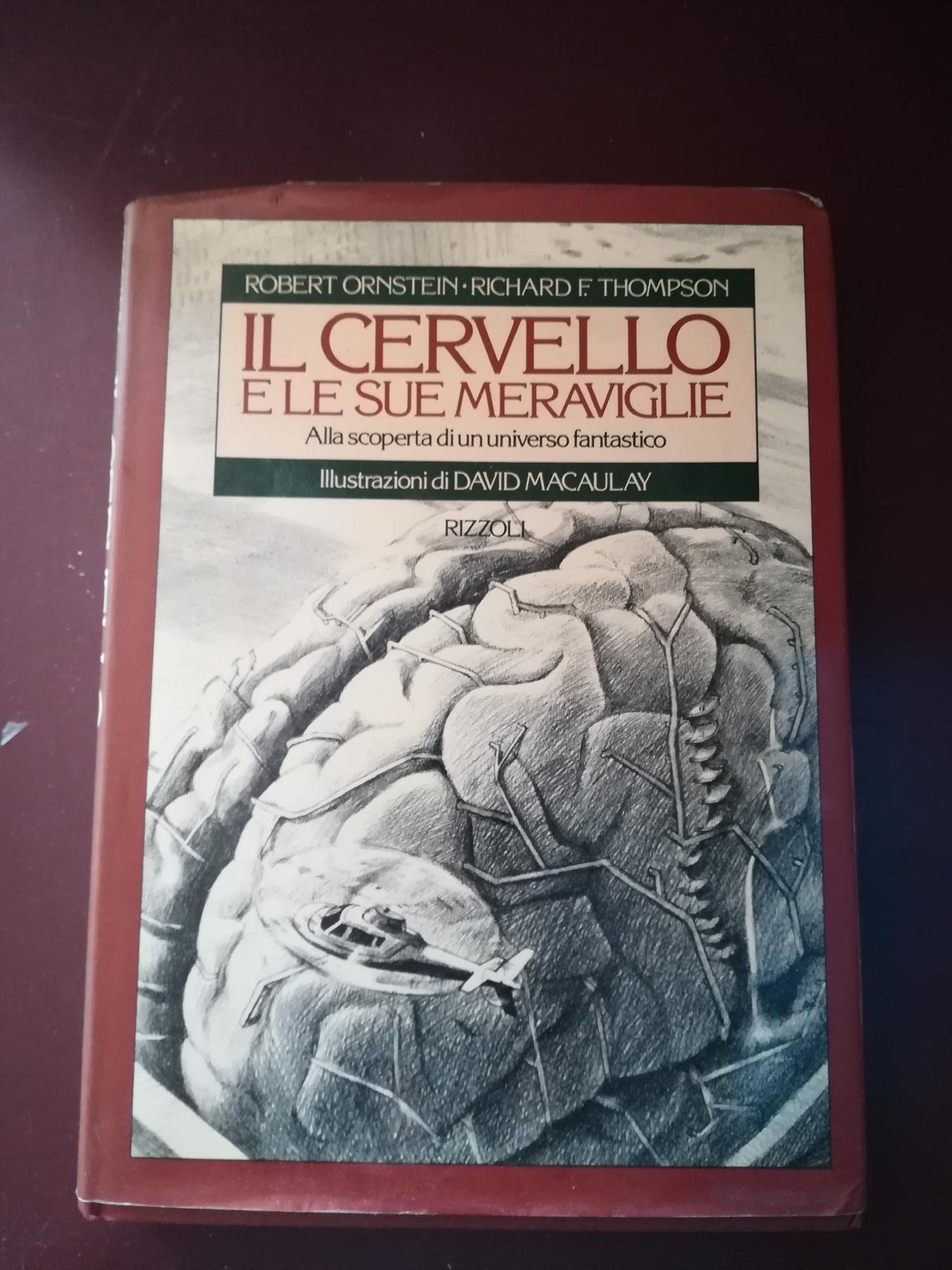 Il cervello e le sue meraviglie (Varia saggistica straniera) Books