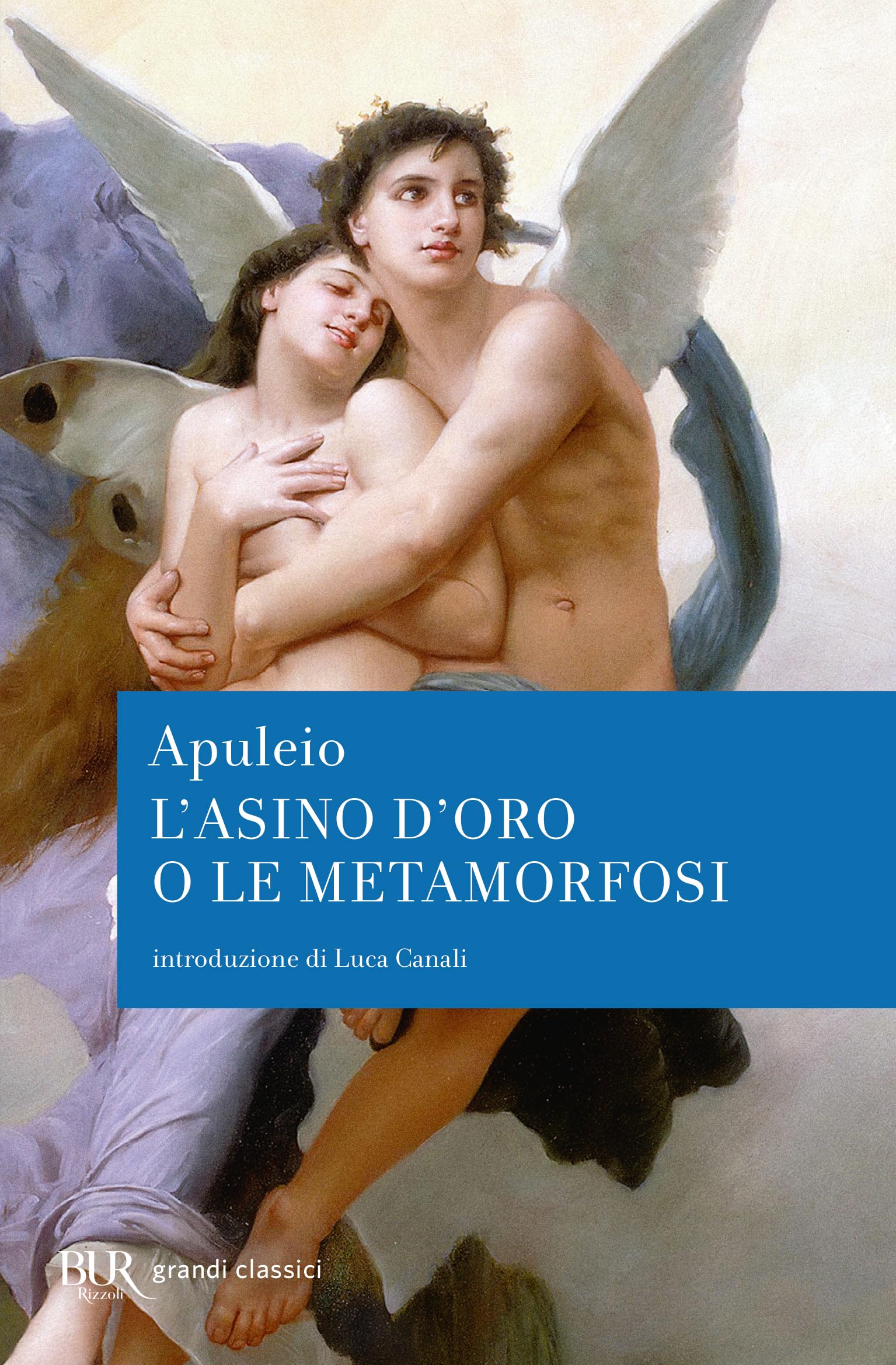 L'asino d'oro o le Metamorfosi book