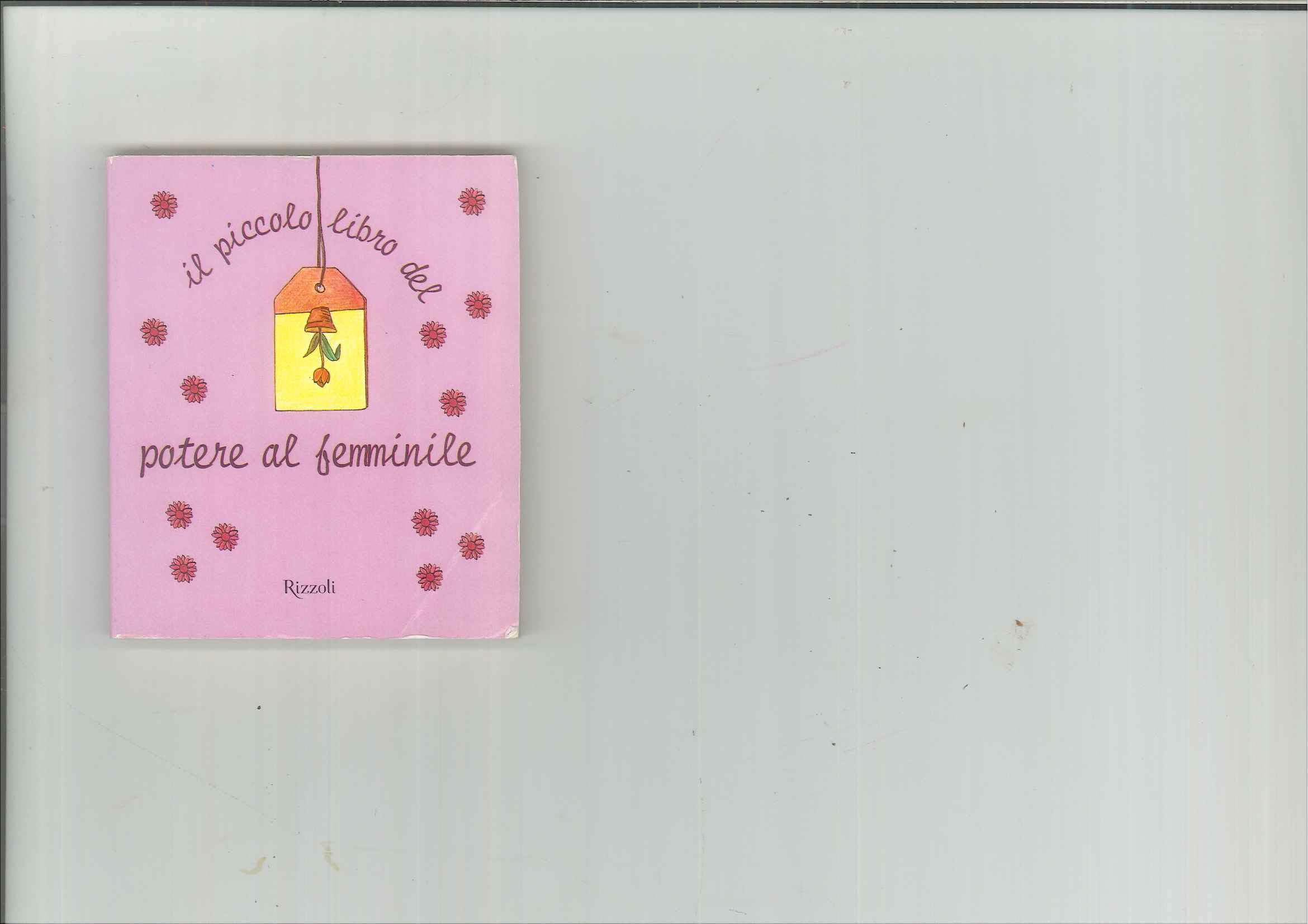 Il piccolo libro del potere al femminile (Varia) Lifestyle