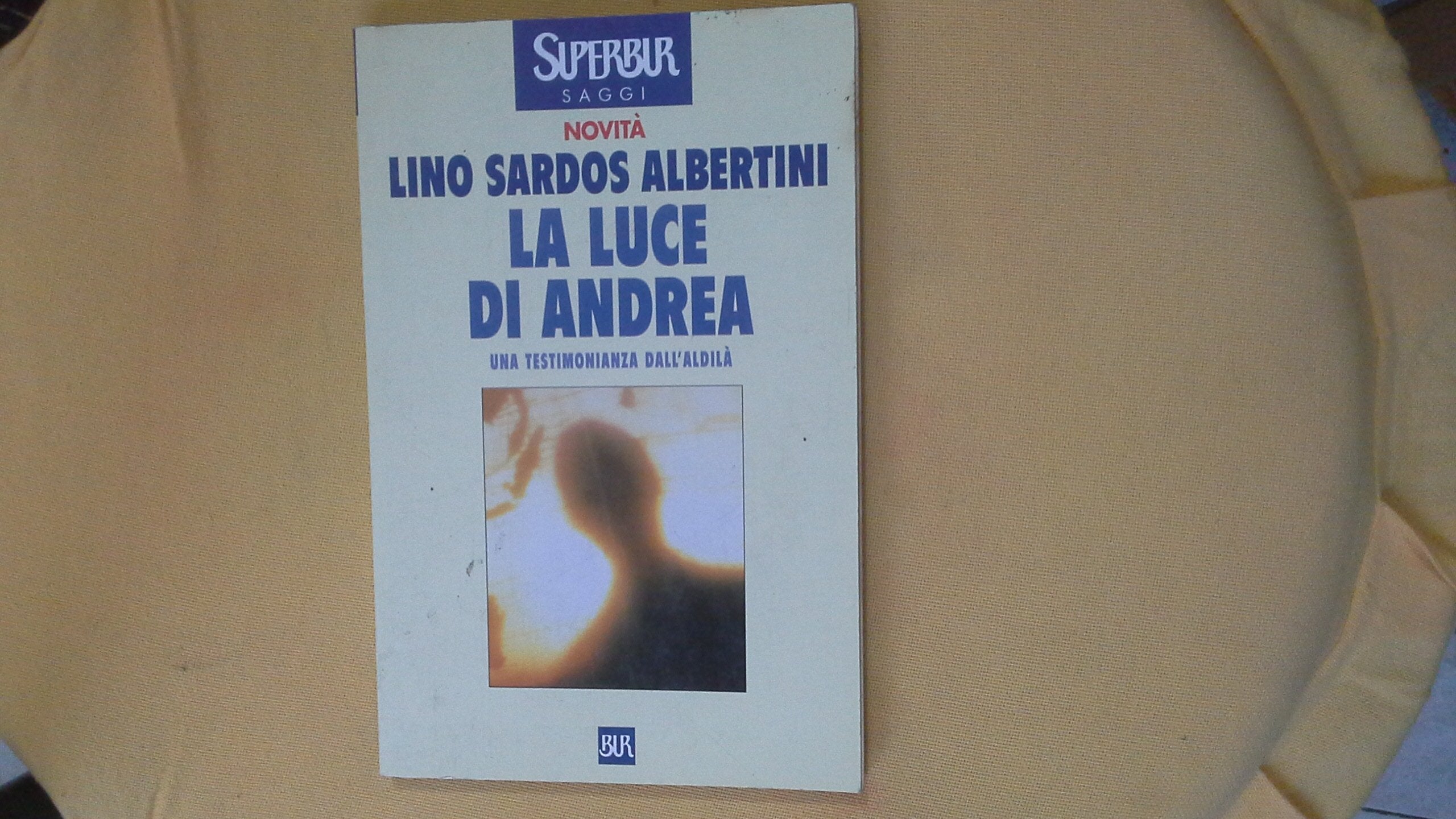 La luce di Andrea. Una testimonianza dall'aldilà (BUR Supersaggi, Band 291) Religion & Esotericism