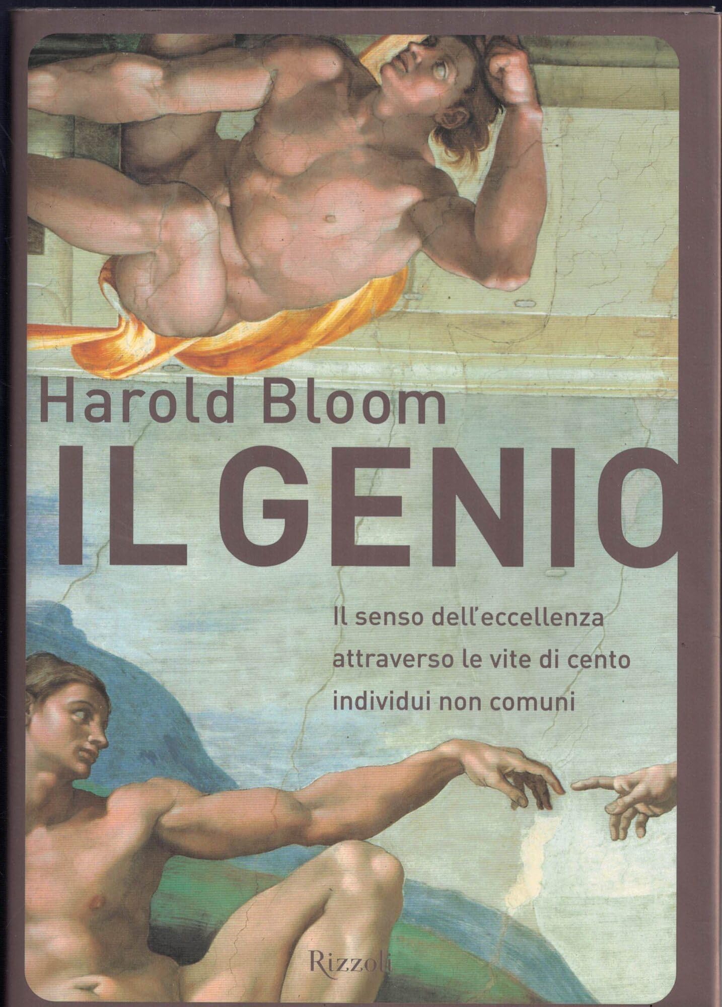 Il genio. Il senso dell'eccellenza attraverso le vite di cento individui non comuni (Saggi stranieri) Contemporary literature